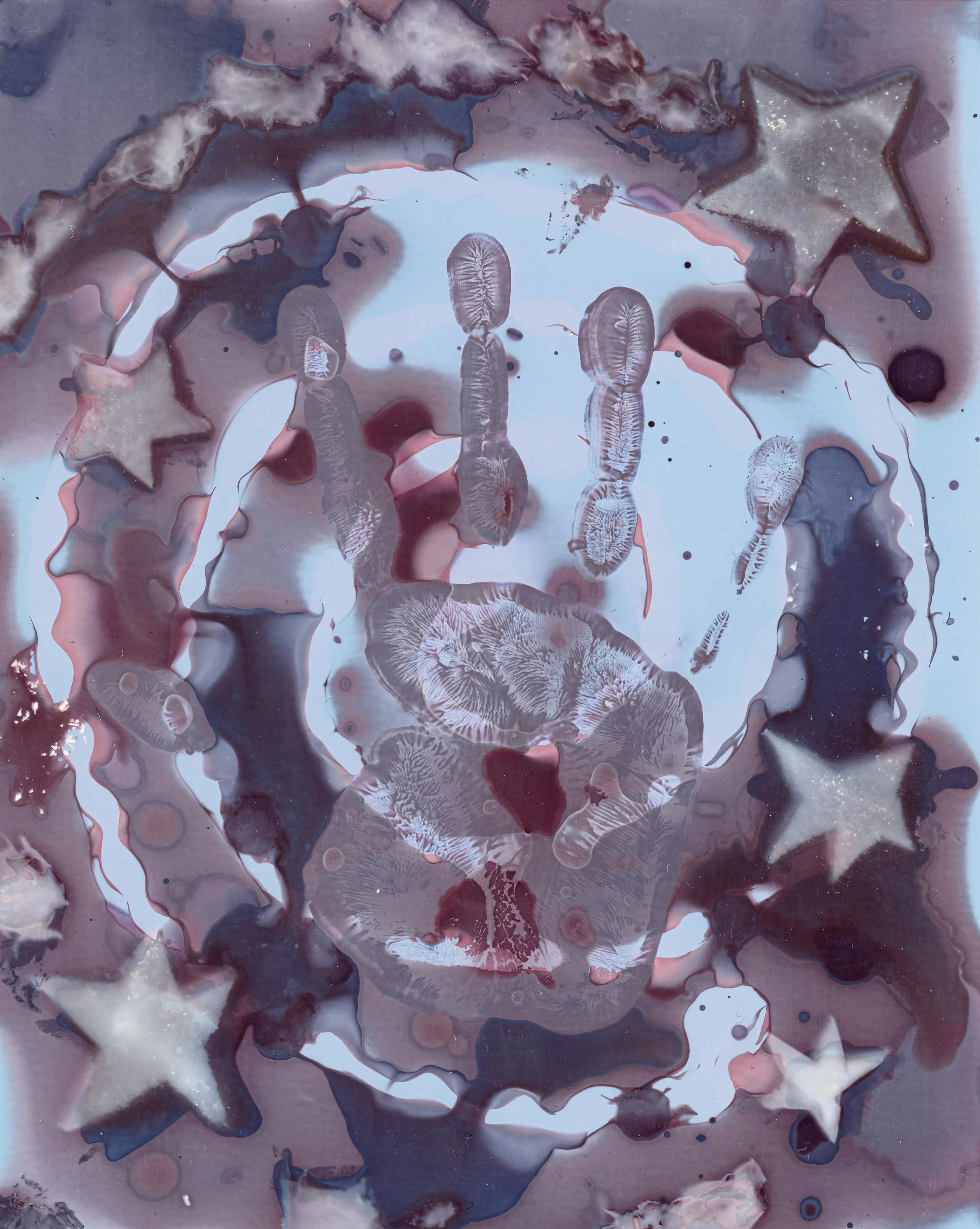 Lumen Print_0005 edited.jpg