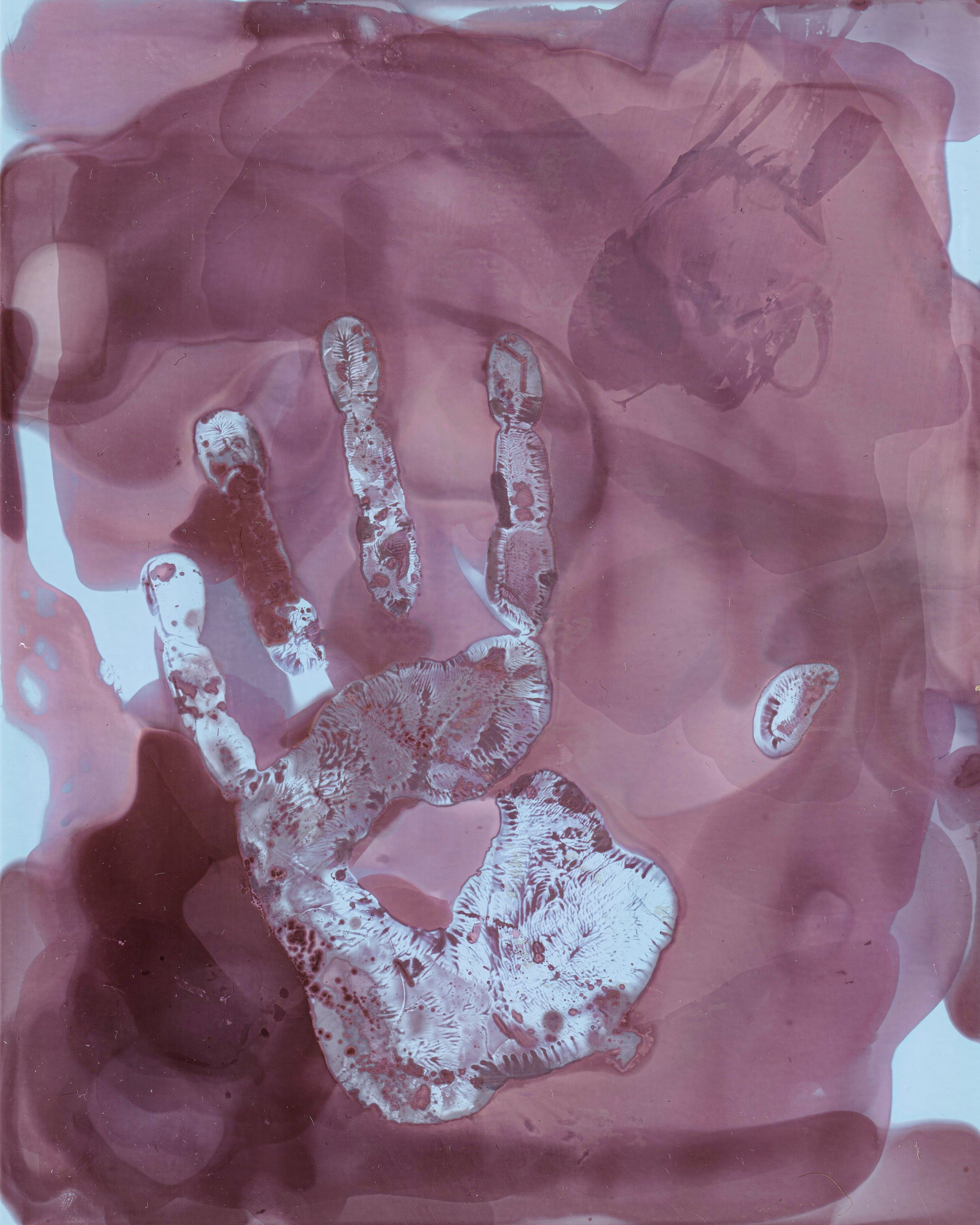 Lumen Print_0006 edited.jpg