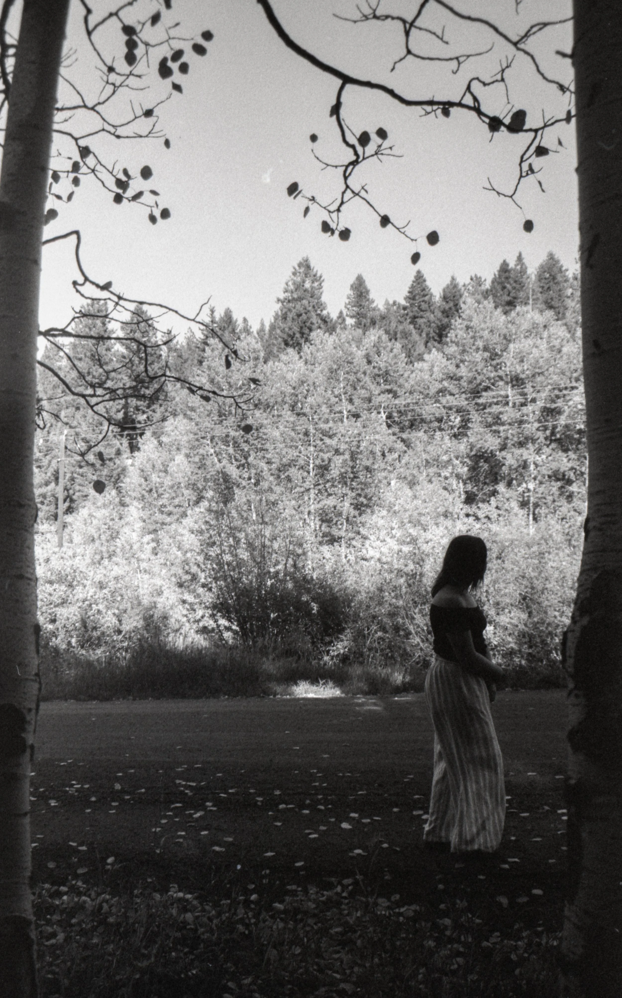 untitled, 2024, 35mm film scan