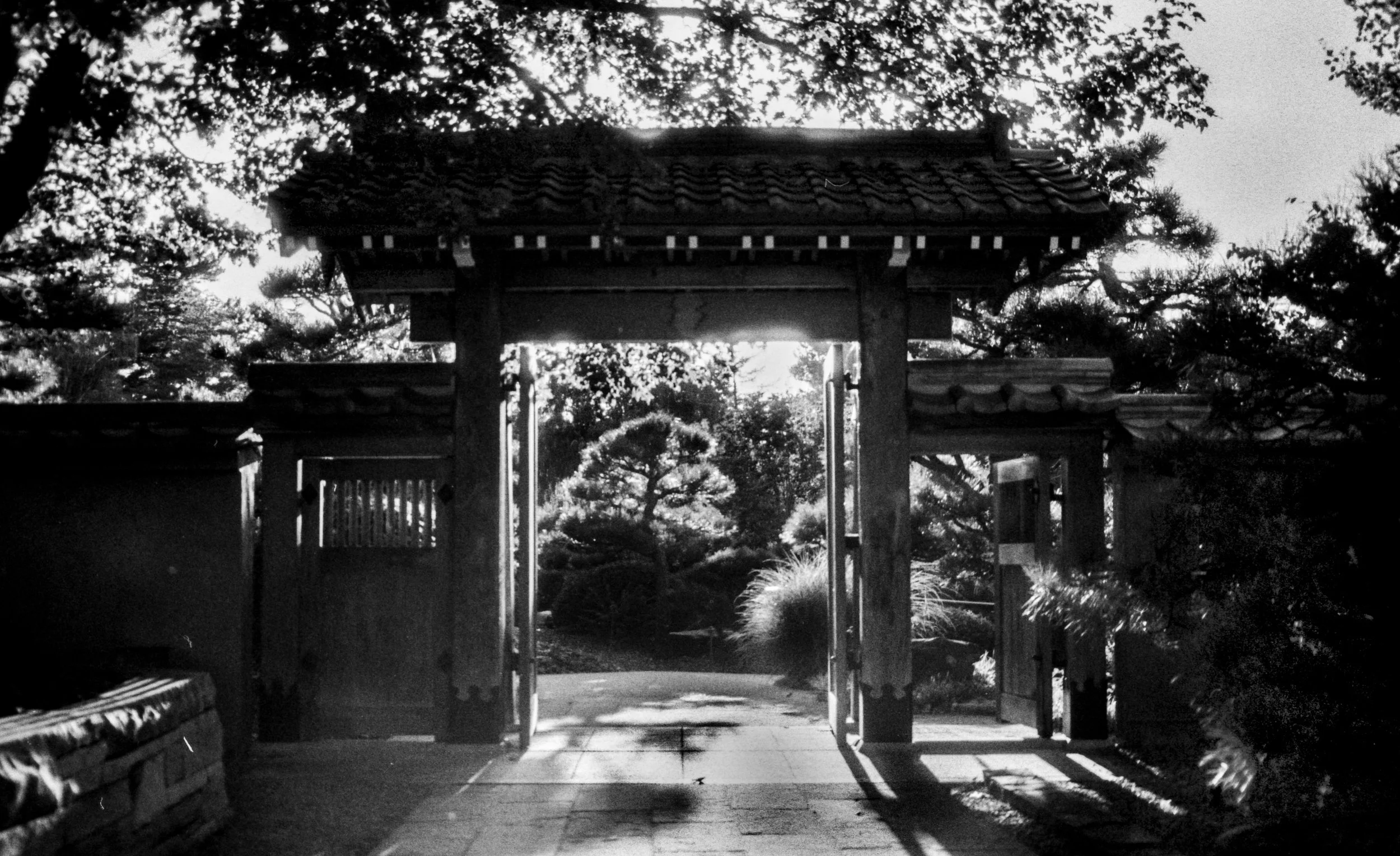 gateway, 2024, 35mm film scan