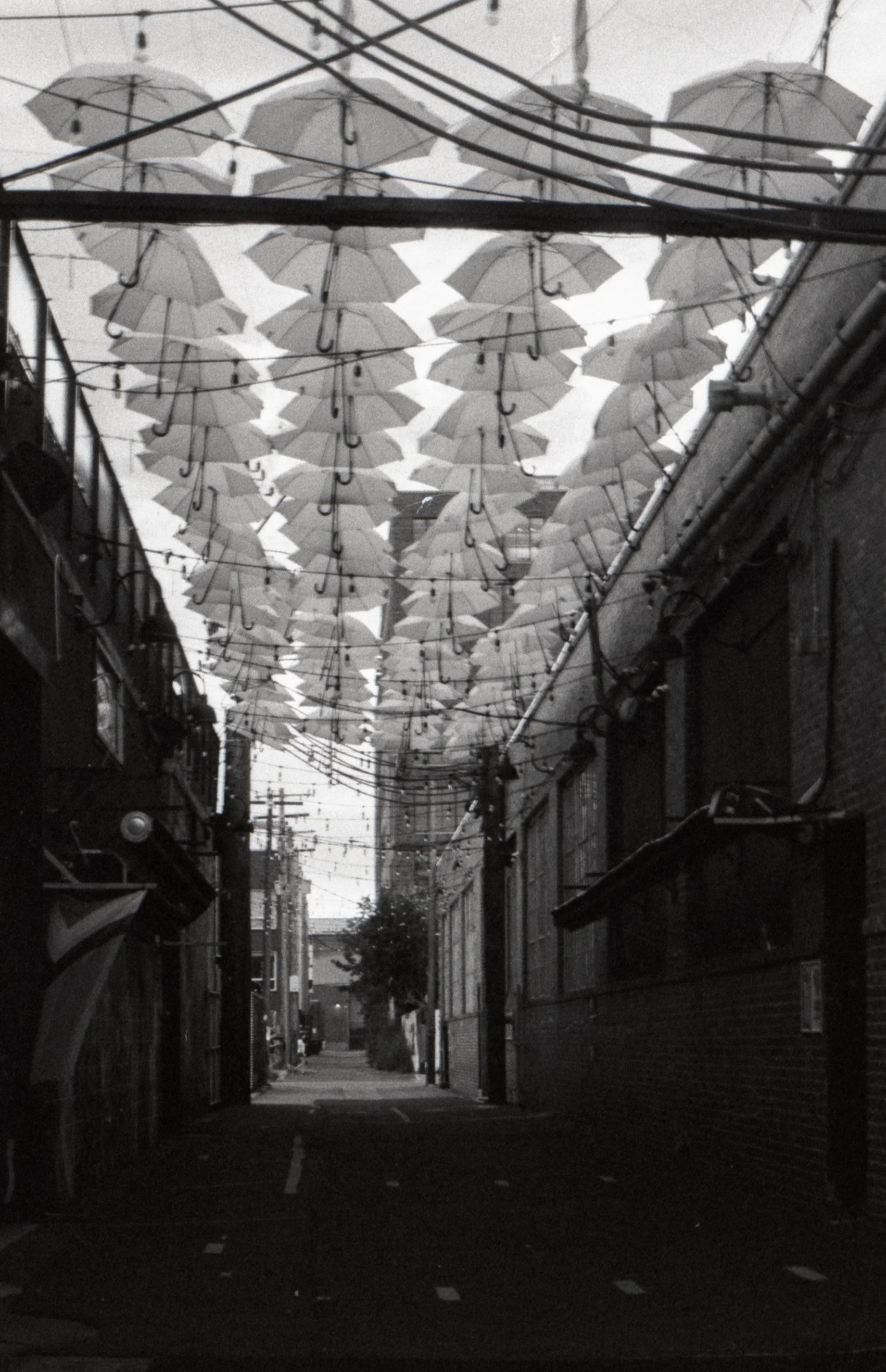 queer bar, 2024, 35mm film scan