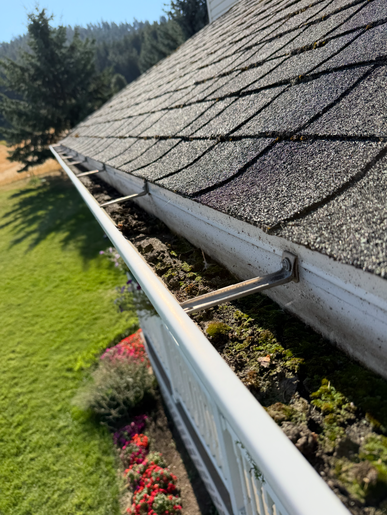 Close-up view of a house's gutter filled with dirt, moss, and debris, with roof shingles visible above and a landscaped yard below.