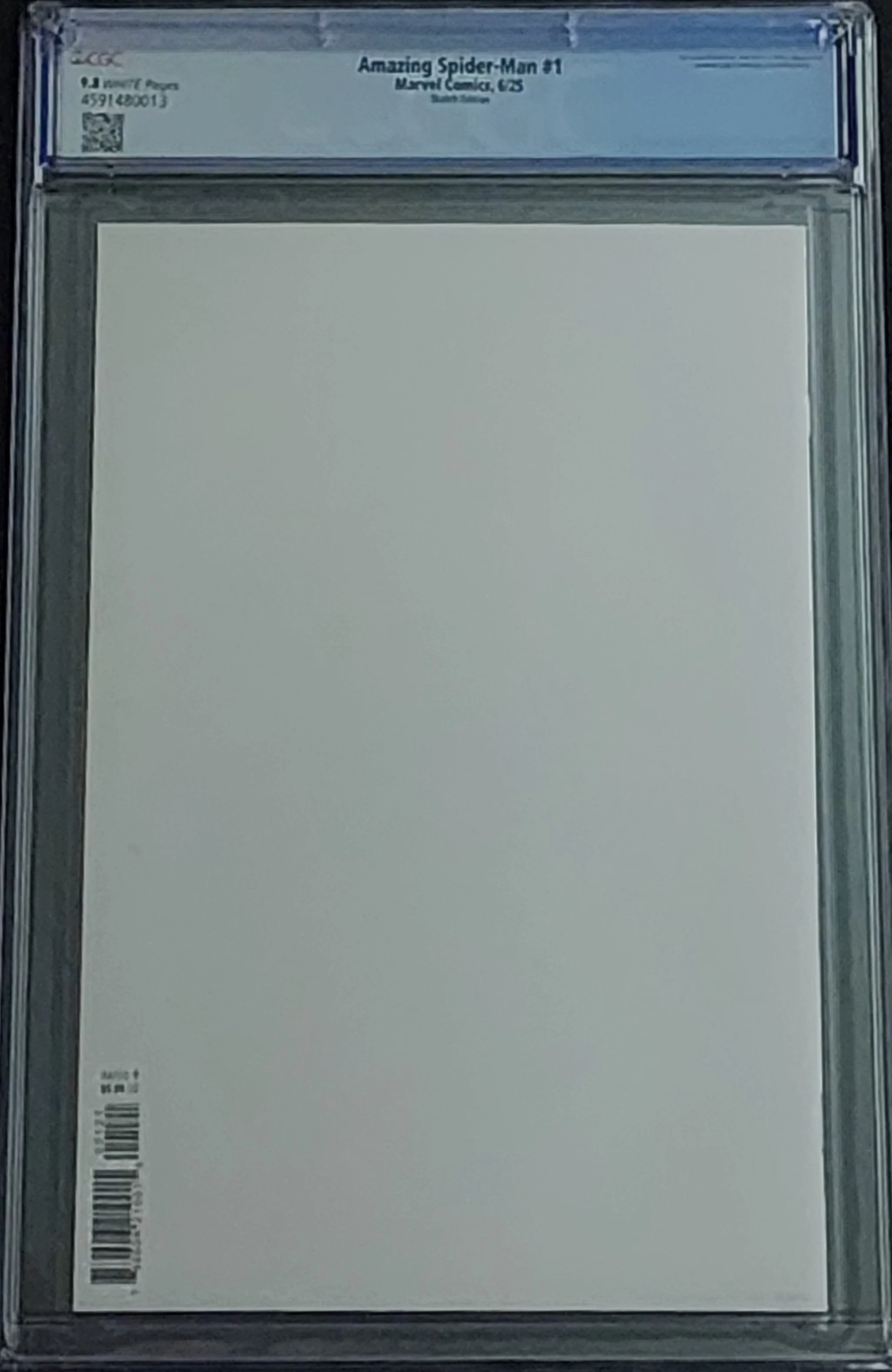 Amazingspiderman1back.jpg