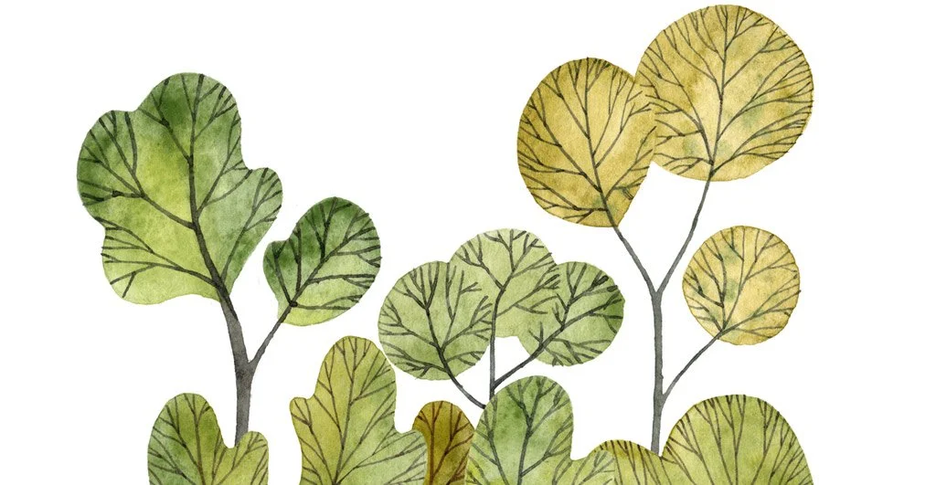 gardens surround storybook cottage