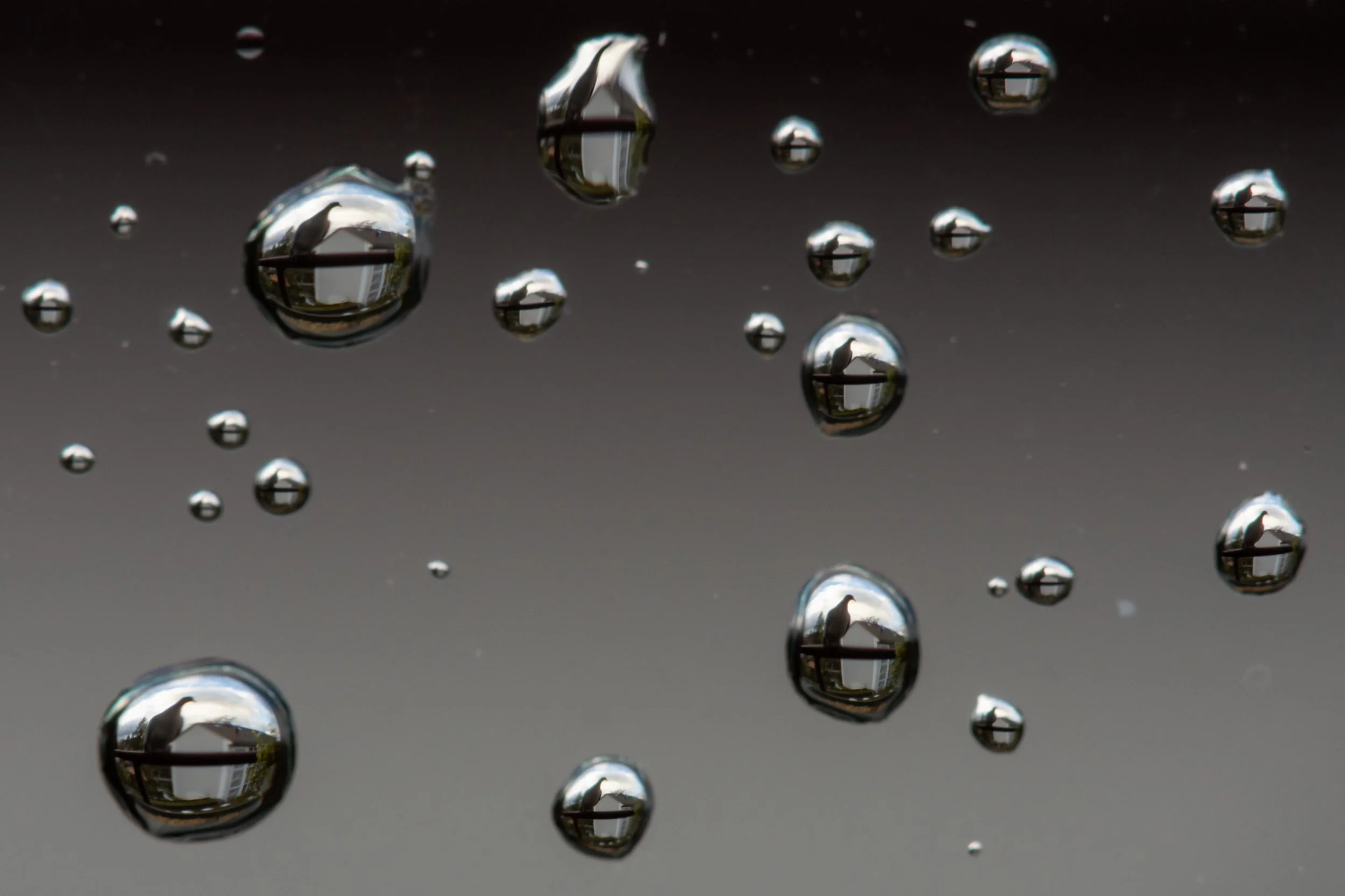 InTheDroplets.jpg