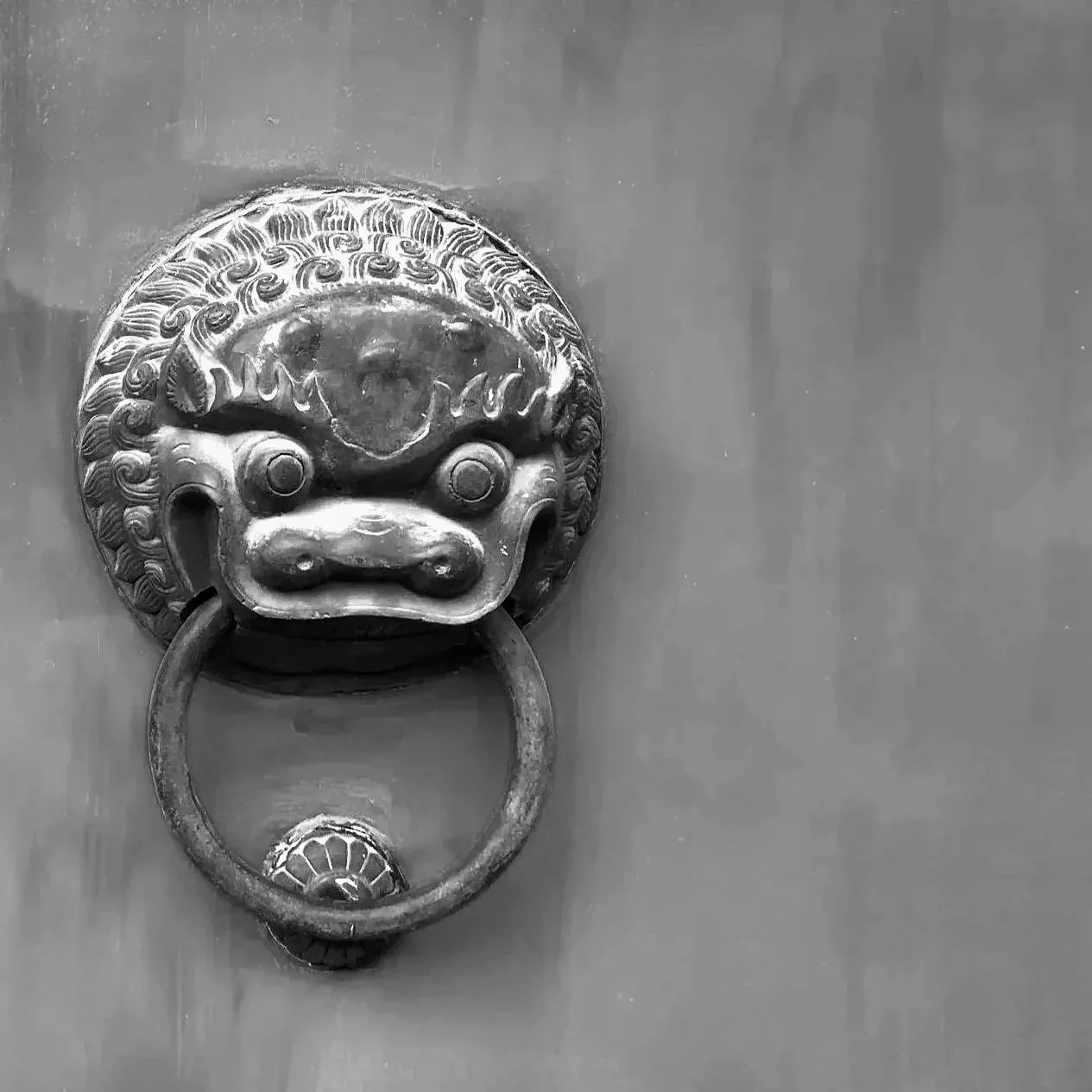 A detailed metallic door knocker in the shape of a lion's head with a ring in its mouth