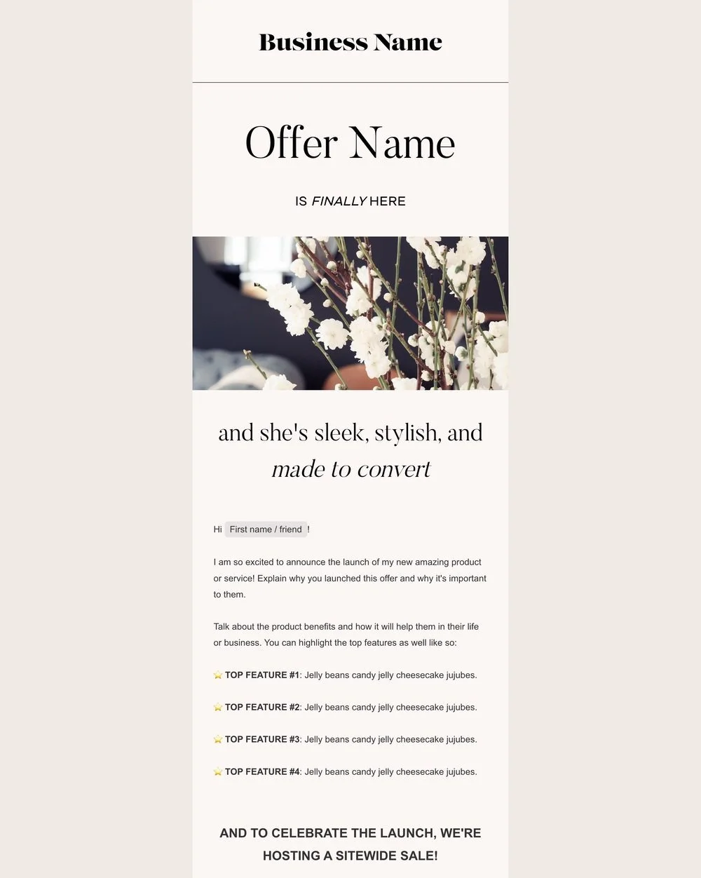 Sales Email Template.jpg