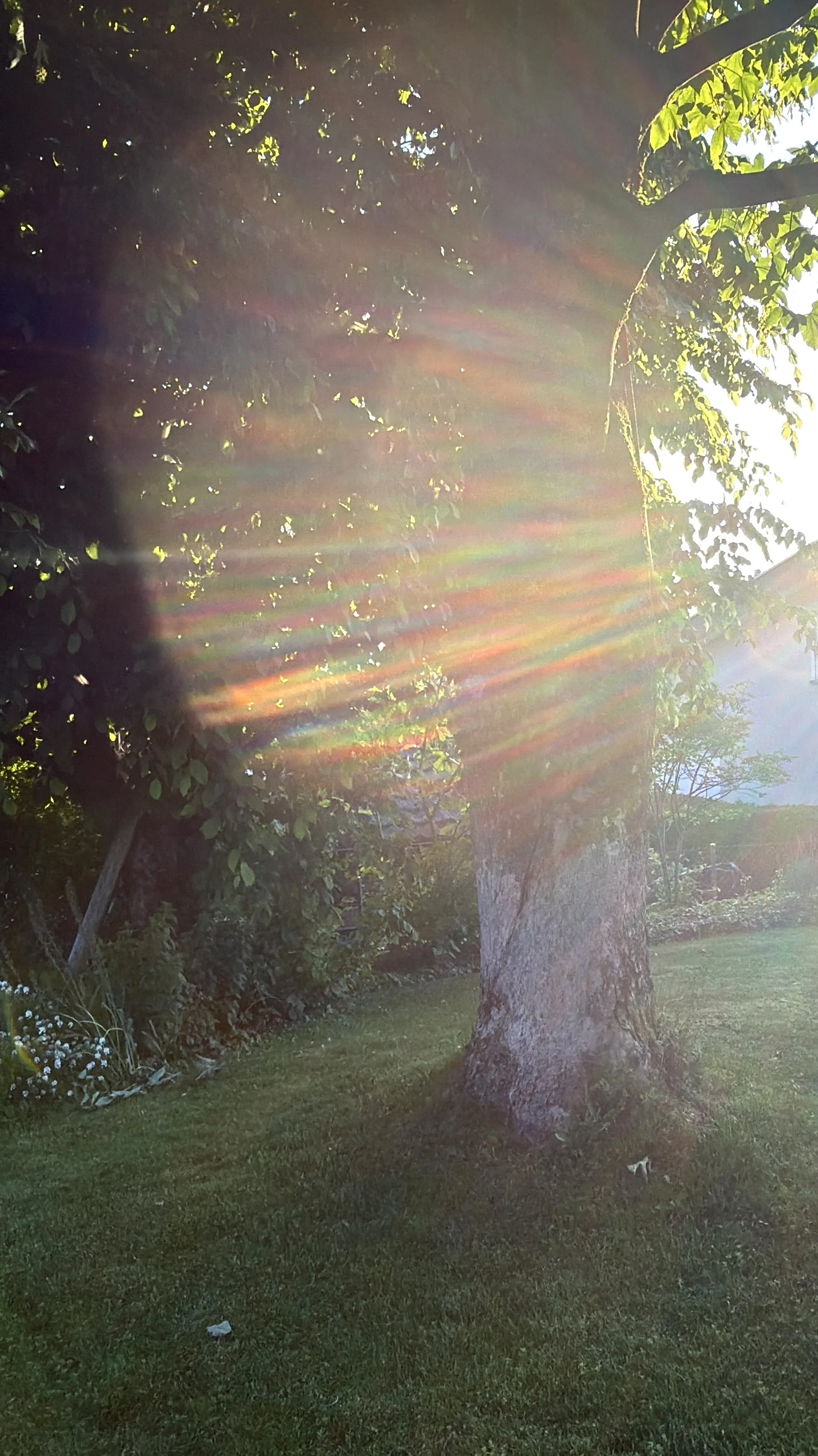 Was ist die Lichtguss Mission?