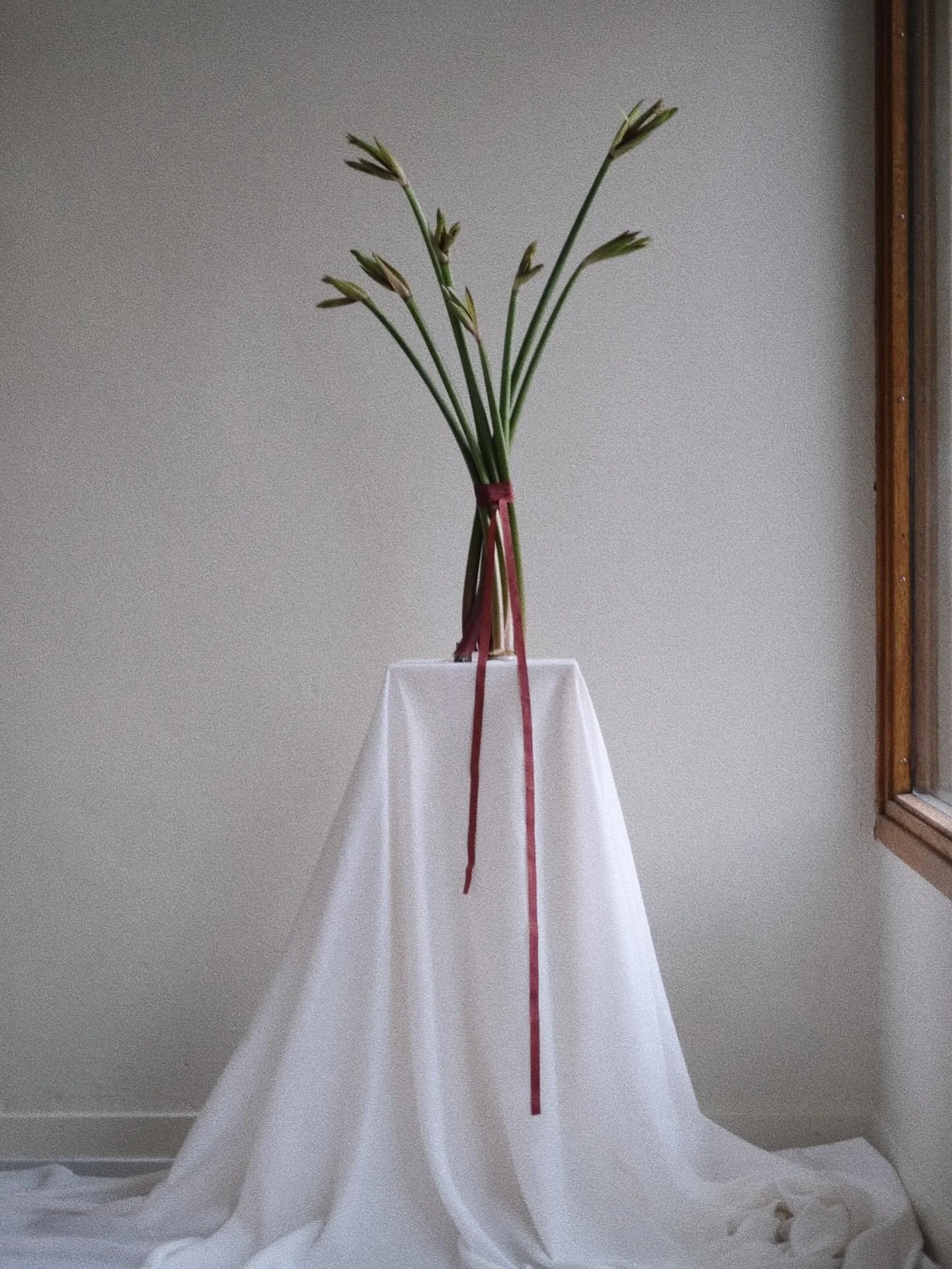 Lucia &auml;r h&auml;r