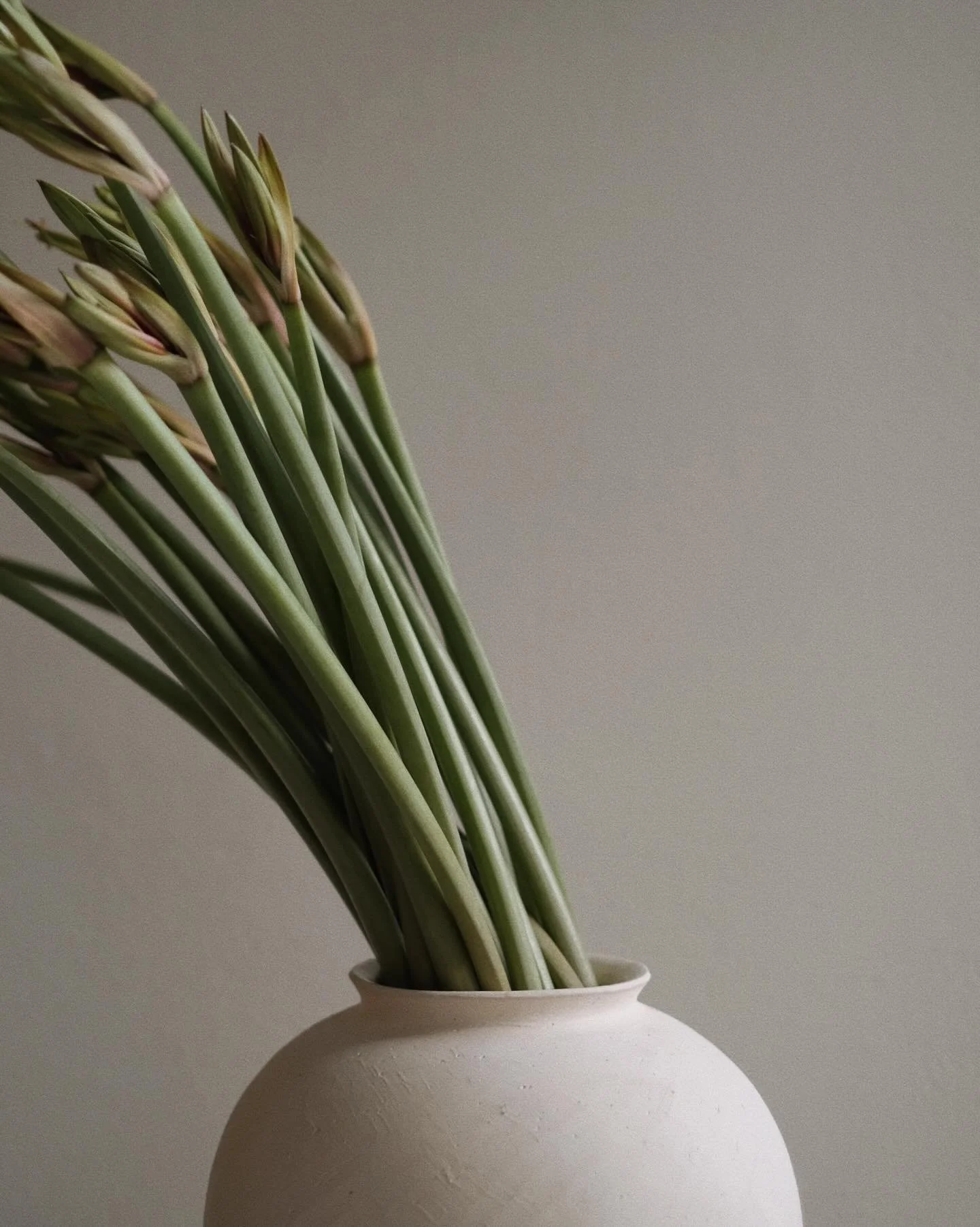 I helgen &ouml;ppnar vi upp studion och k&ouml;r en pop-up b&aring;de l&ouml;rdag &amp; s&ouml;ndag 11-15. Tillsammans med @studiolovisaheinius och @jeanetteakerbergceramics bjuder vi in till julst&auml;mning och dukar fram v&aring;ra kreationer. Tex