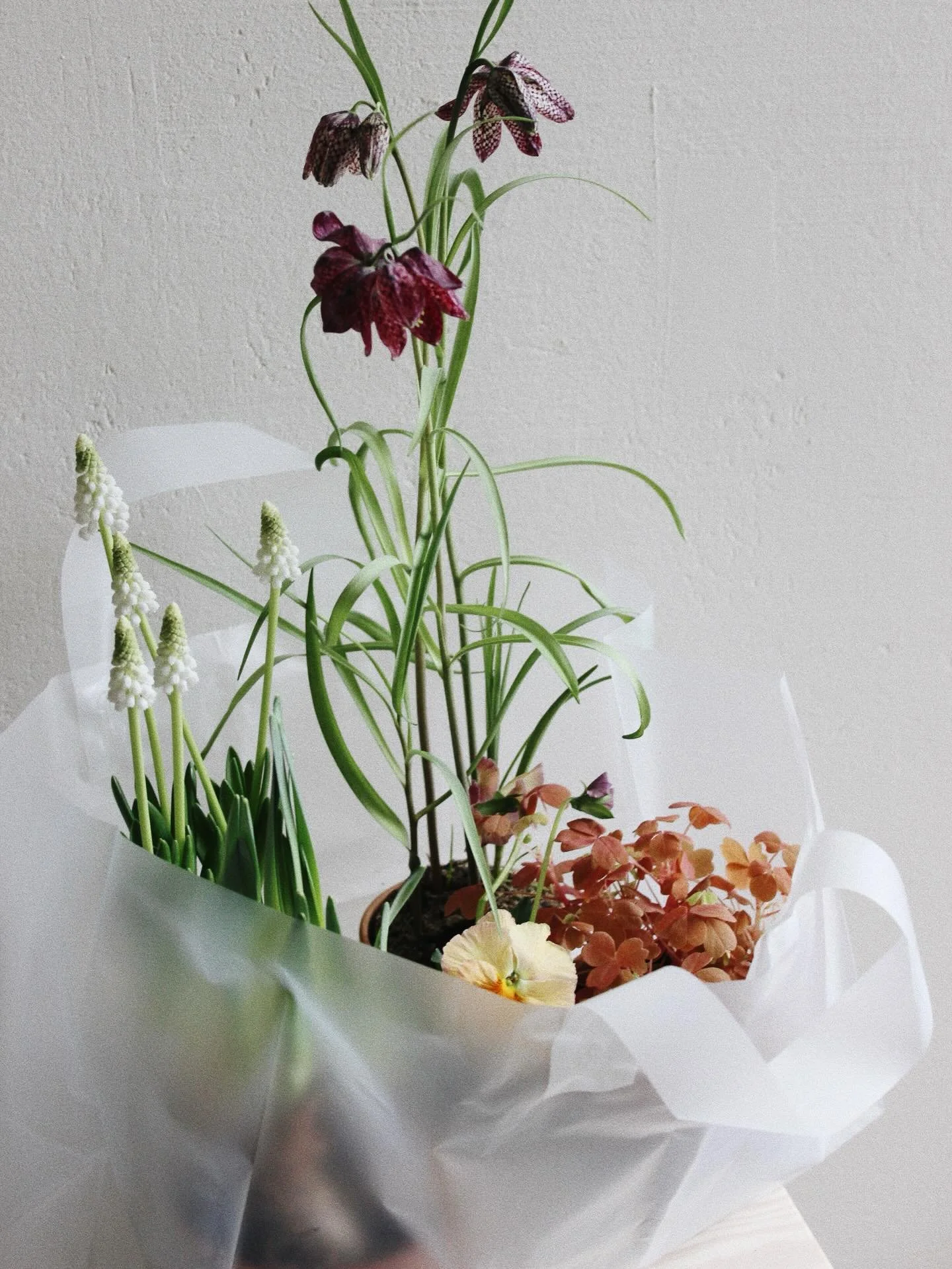 Open studio inf&ouml;r p&aring;sk! Jag &ouml;ppnar upp studion 30-31 mars &amp; 1-2 april f&ouml;r drop-in. Jag v&auml;ljer ut mina favoriter f&ouml;r kruka &amp; vas. F&auml;rdigkomponerande blomp&aring;sar som passar lagom f&ouml;r en plantering i 