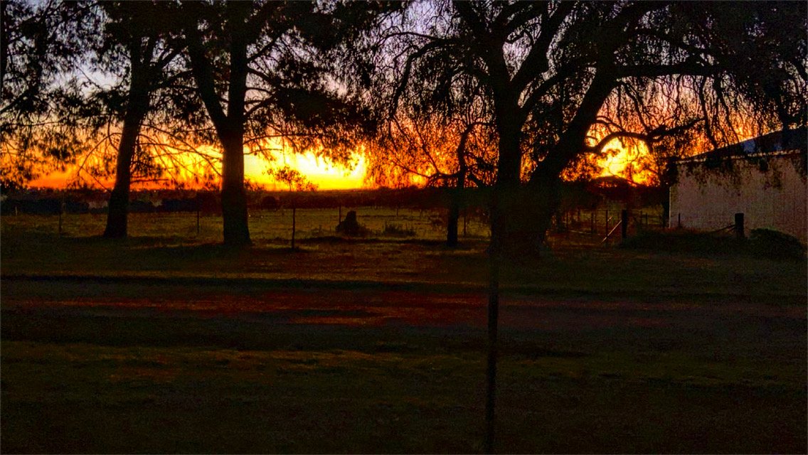 Sunset with orange and pink hues behind trees, with a silhouette of a person sitting on a bench in a peaceful outdoor setting.