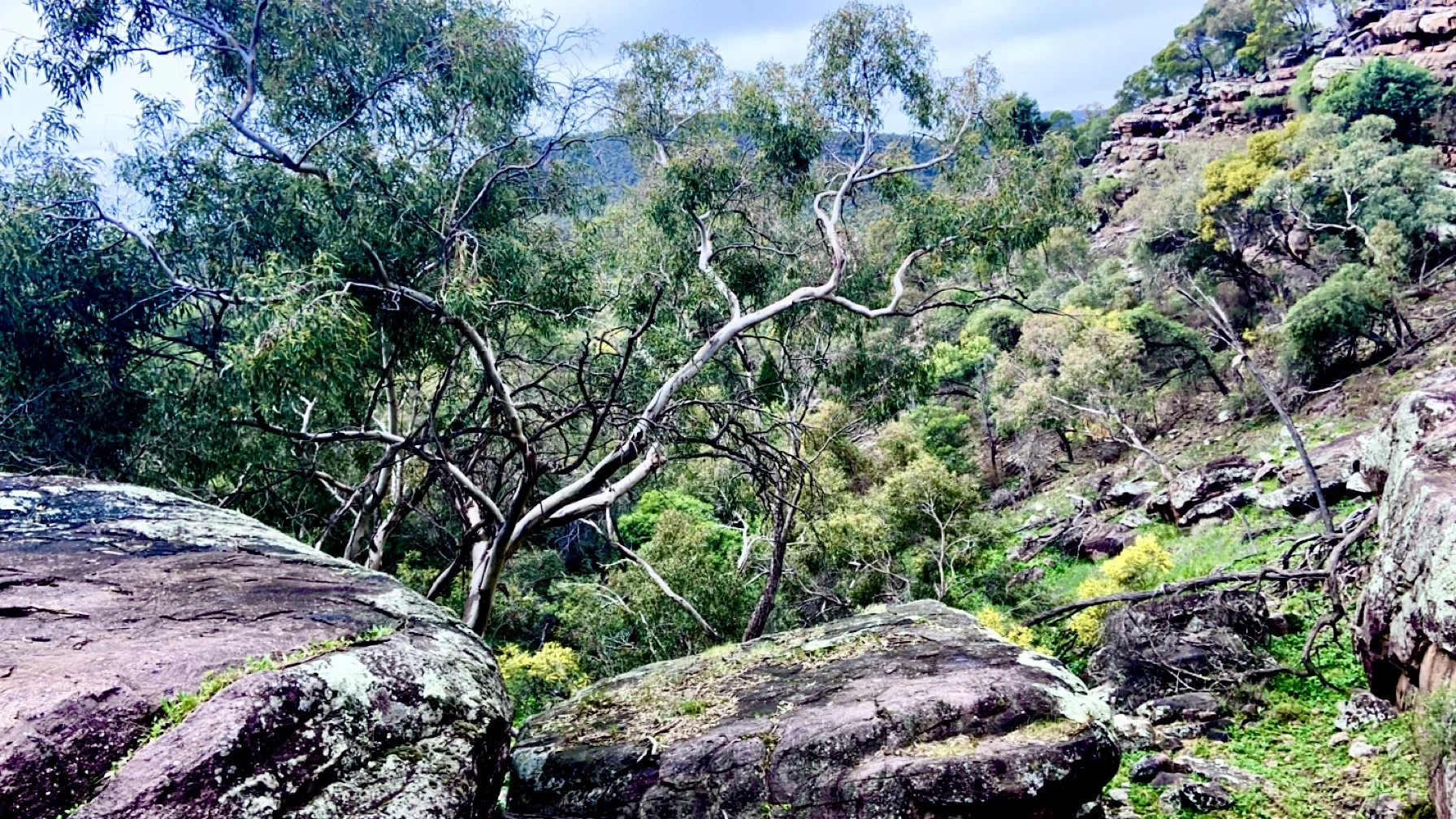 A rugged outdoor landscape featuring large rocks in the foreground, green leafy trees, and a hillside covered with various vegetation and rocky formations in the background.