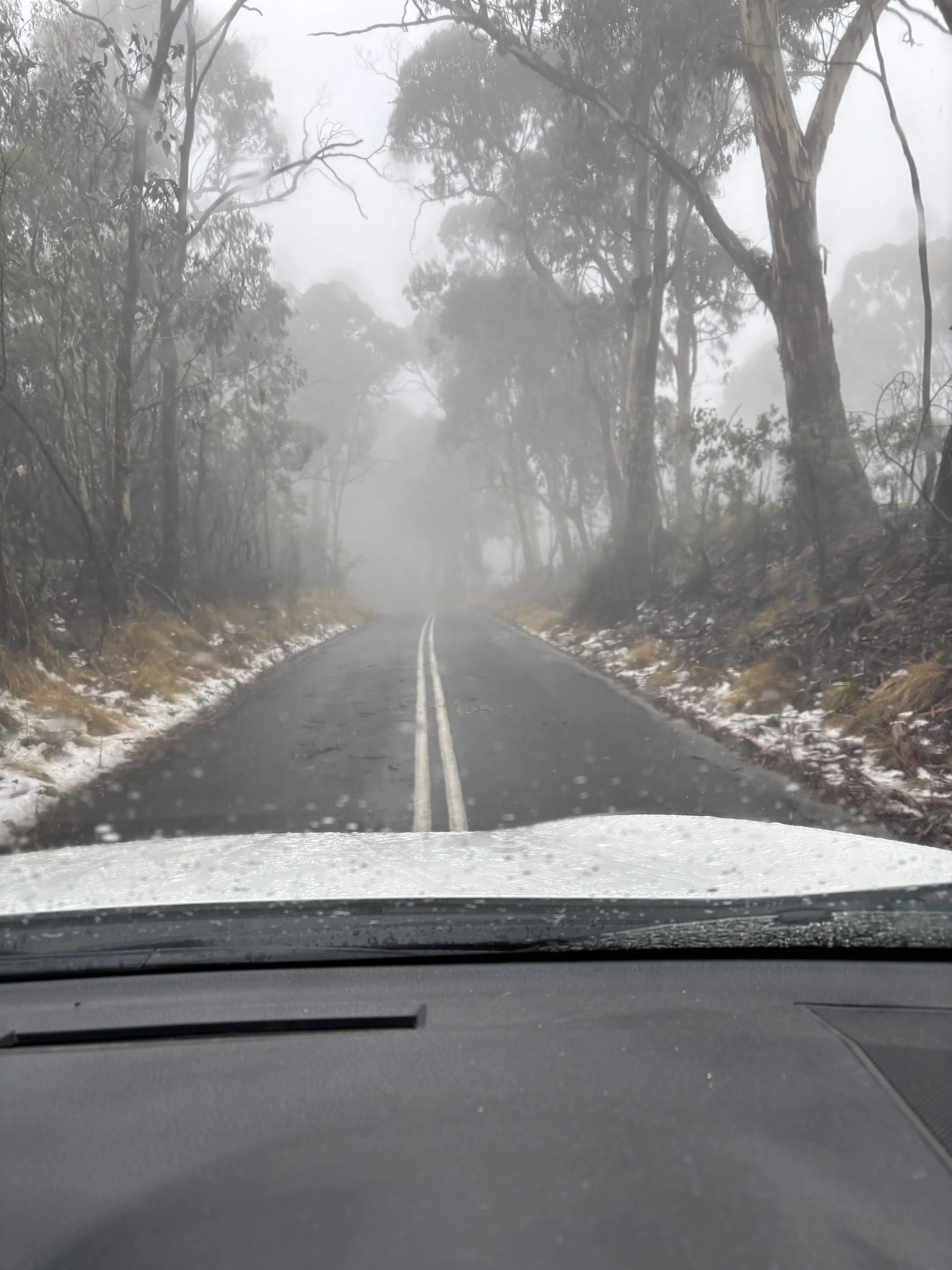 View from inside a vehicle on a foggy, winding forest road surrounded by tall trees with some snow on the ground.