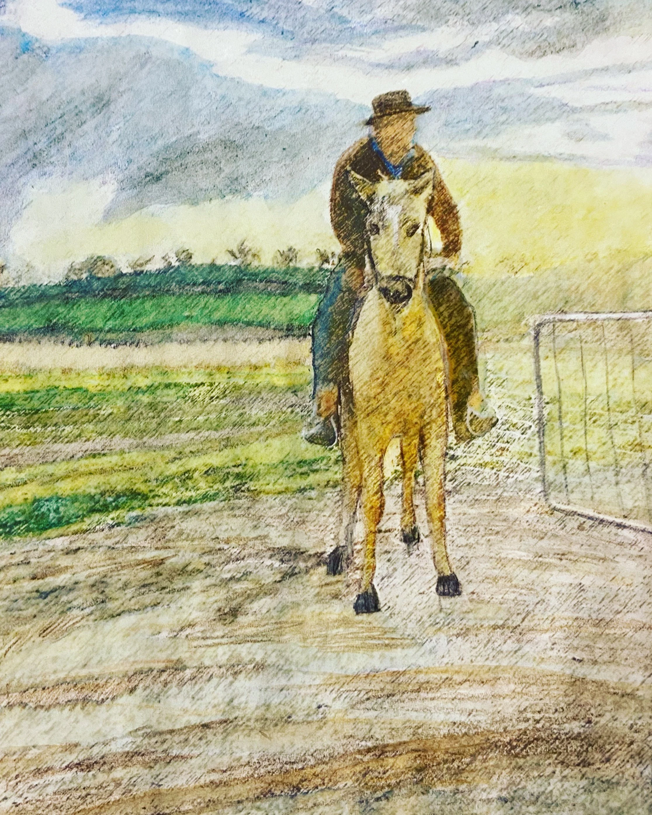 A person riding a horse on a field with cloudy sky and trees in the background.