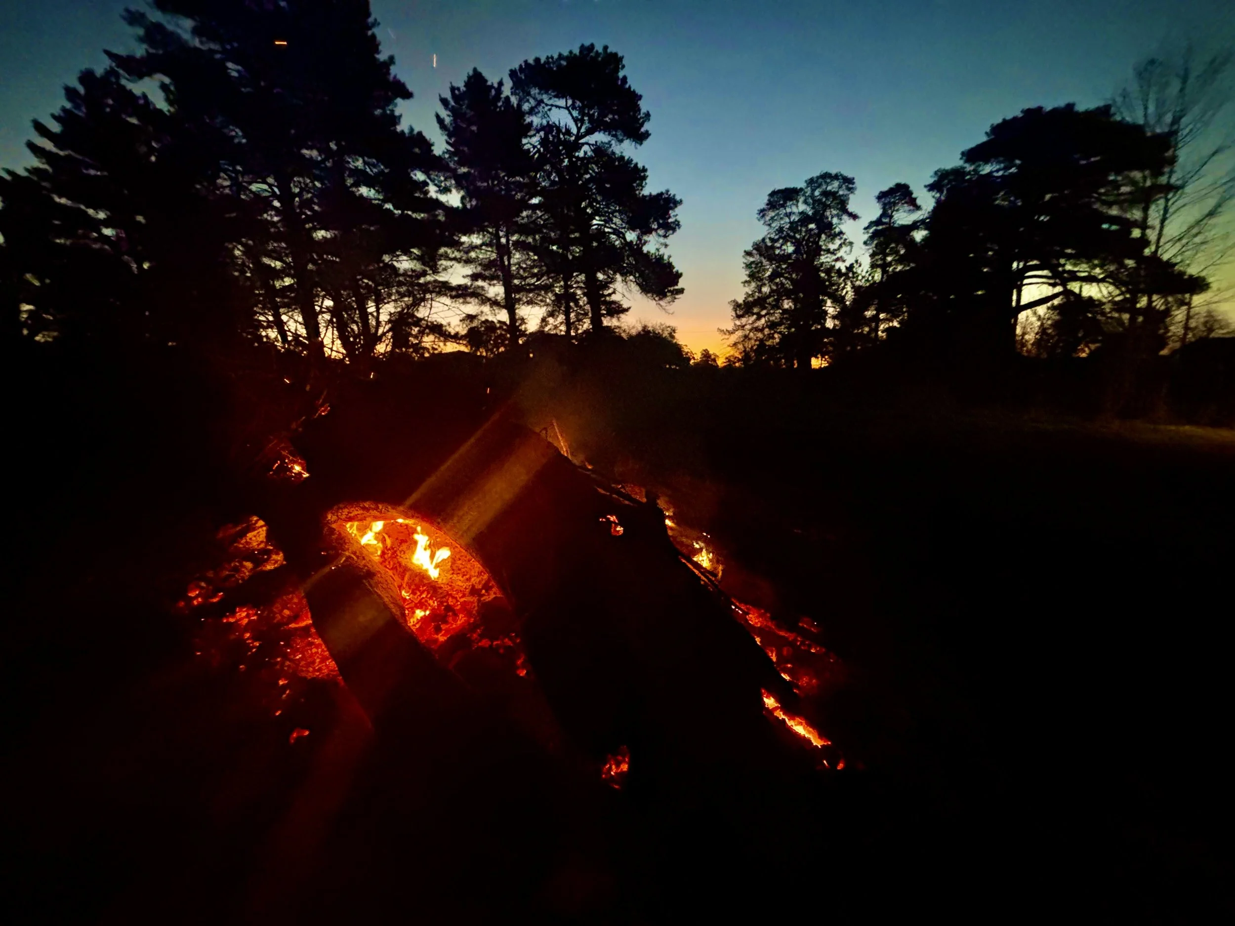 Fallen logs and burning embers in a forest at dusk, with silhouettes of trees against a colorful sky.