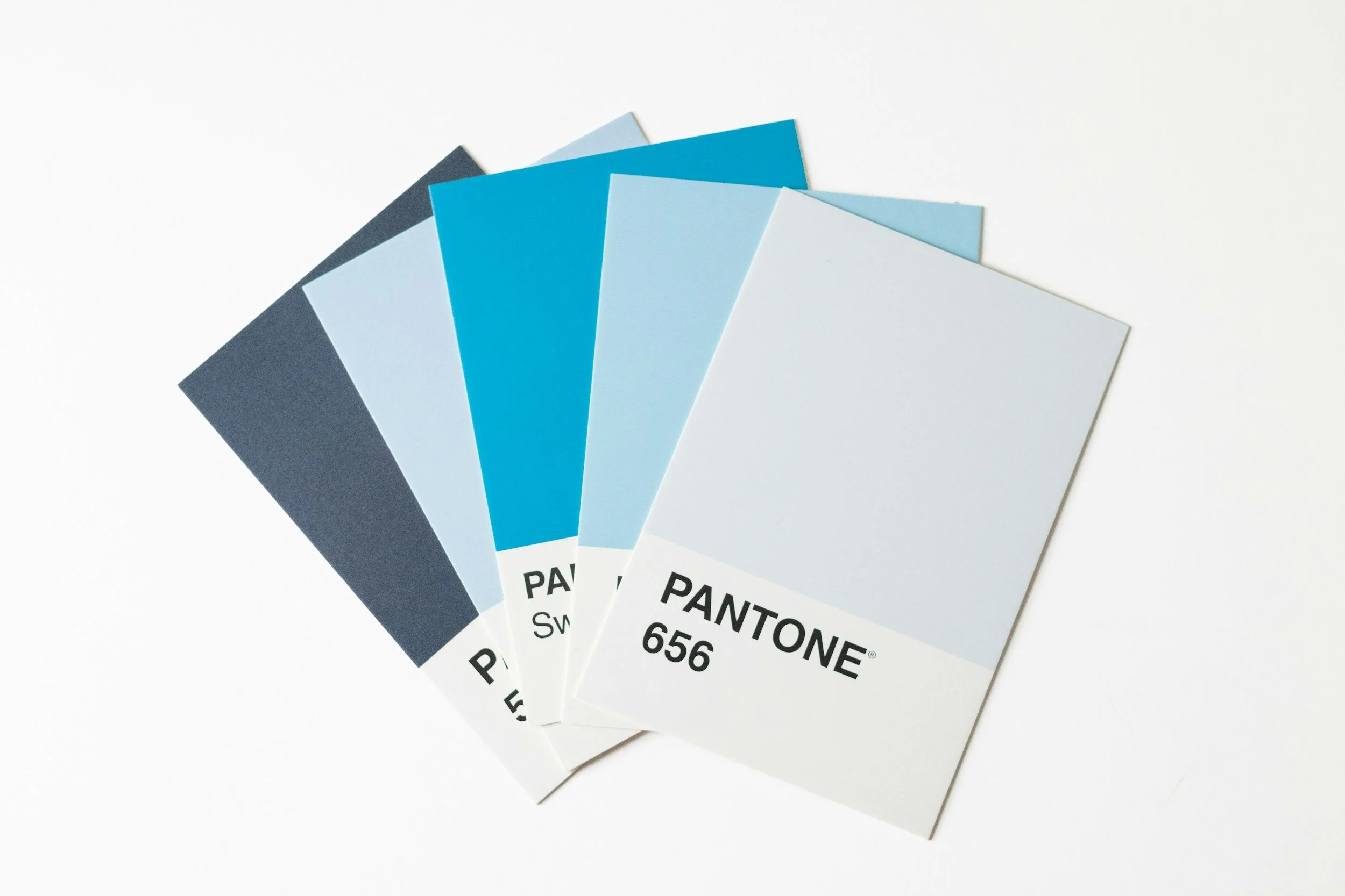 Blue brand pantone swatches
