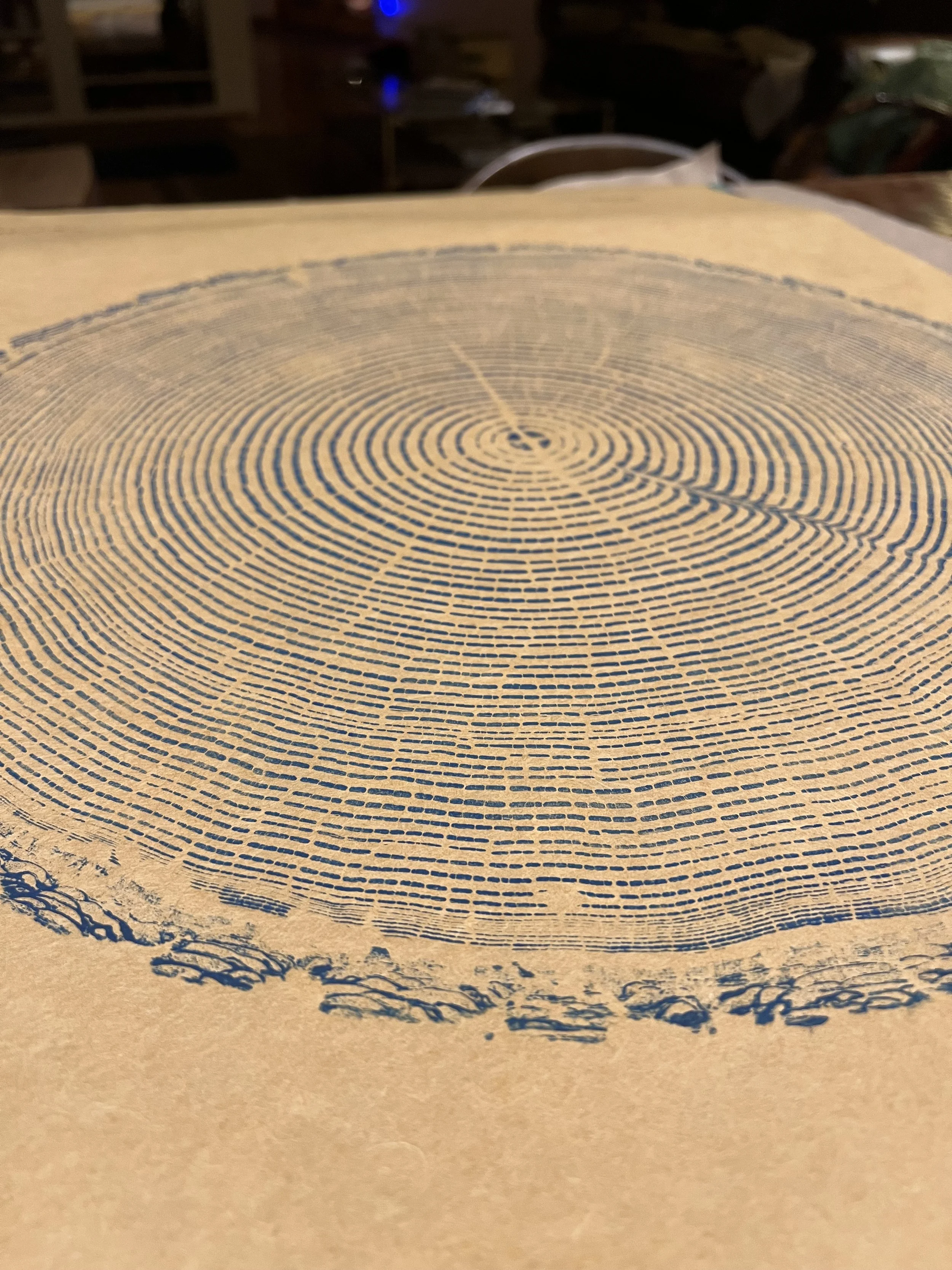 Douglas Fir Tree Print