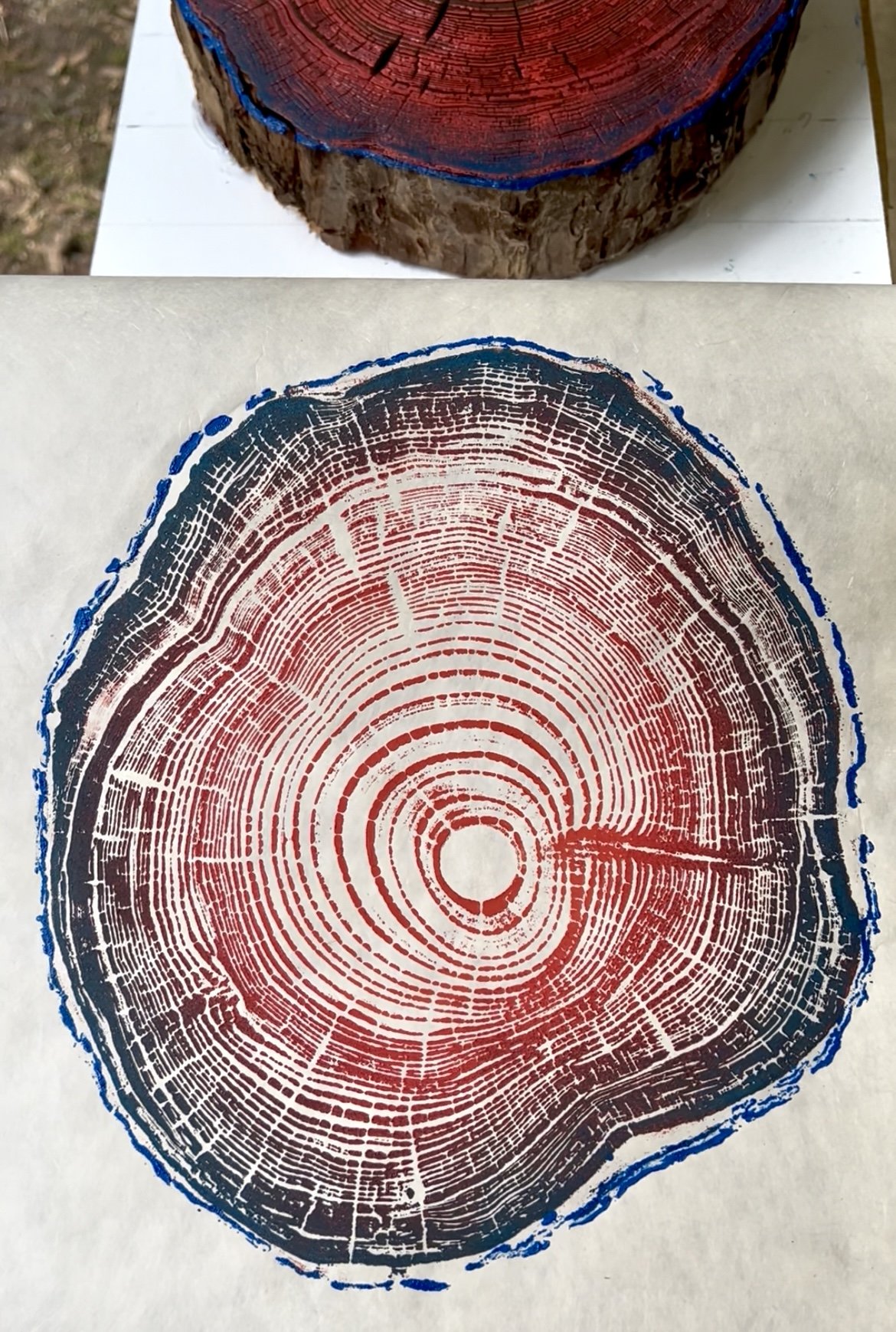 Western Hemlock #2 - 16"x16" - Multiple Color Options