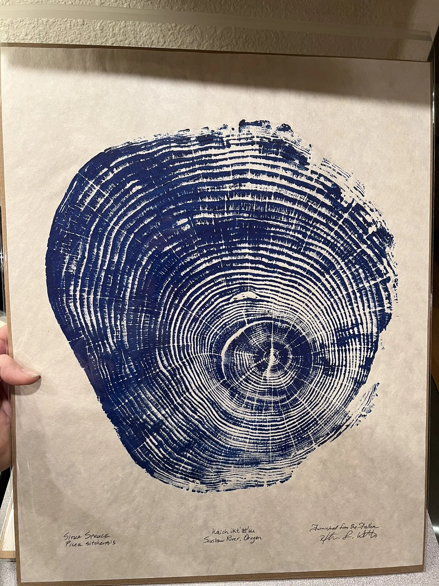 Siuslaw River Spruce #1 - Multiple Options