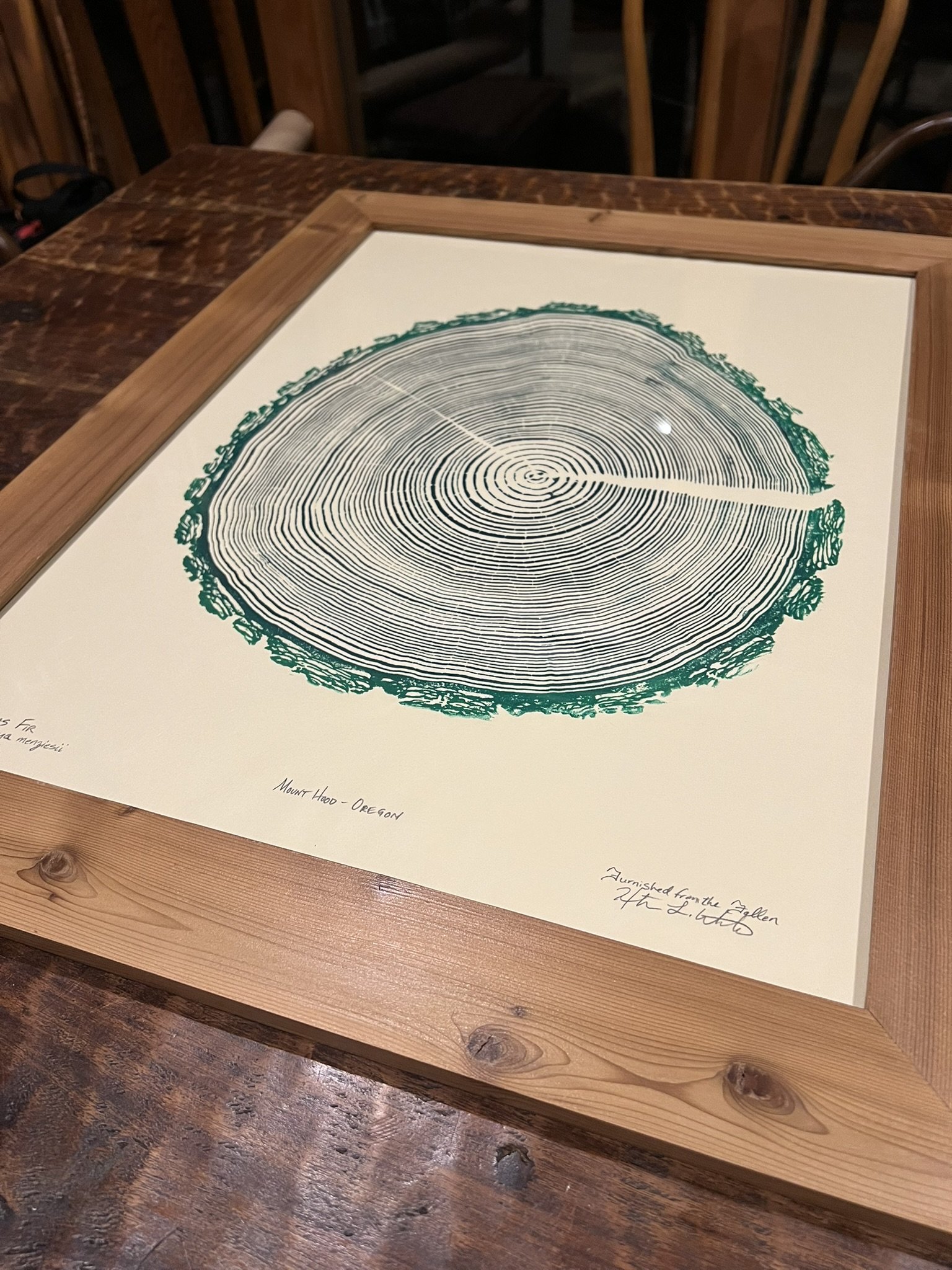 A framed artwork of a tree ring cross-section from Mount Hood, Oregon, lying on a wooden table.
