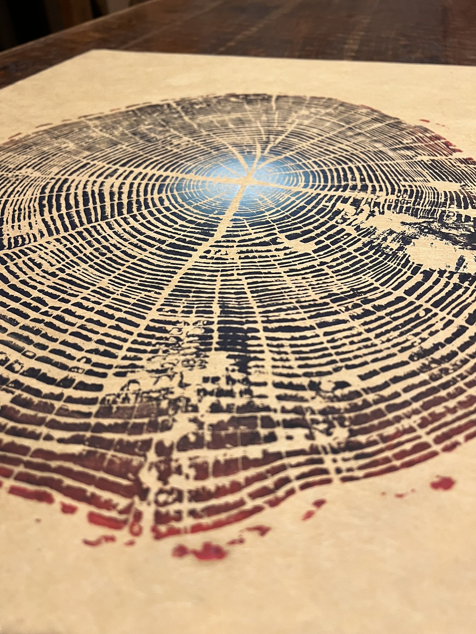 Oregon White Oak #1 - "Blue Eye Oak"  24"x32" (Multiple Options)