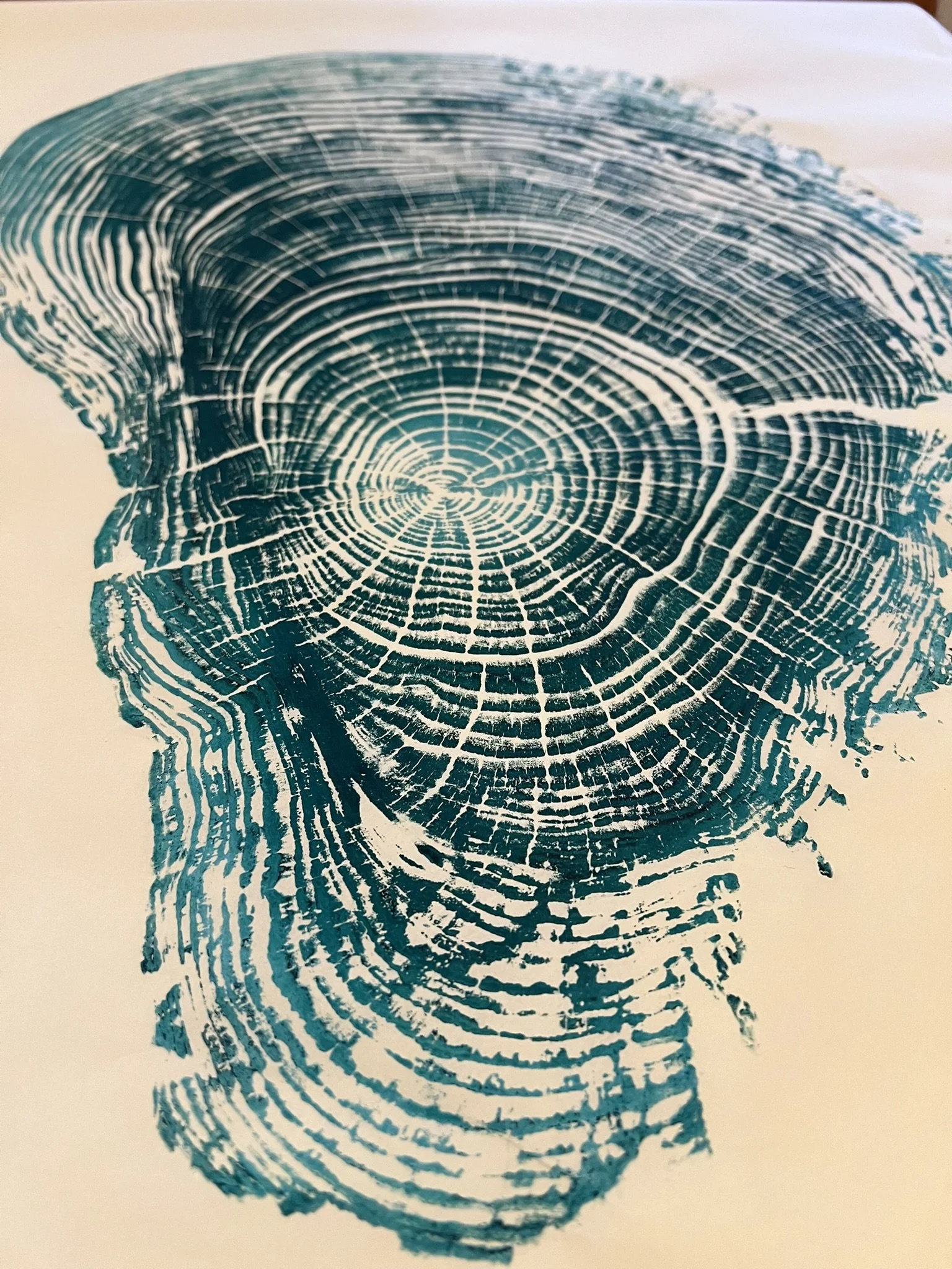 Siuslaw River Spruce #2 - 24x36