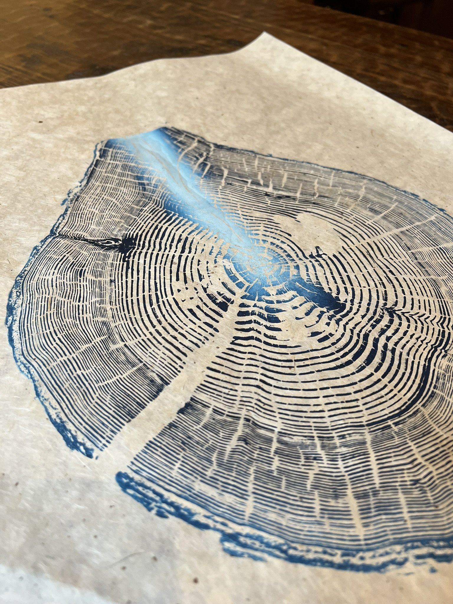 Western Hemlock #3 - "Turquoise Lotus" - 18"x24"