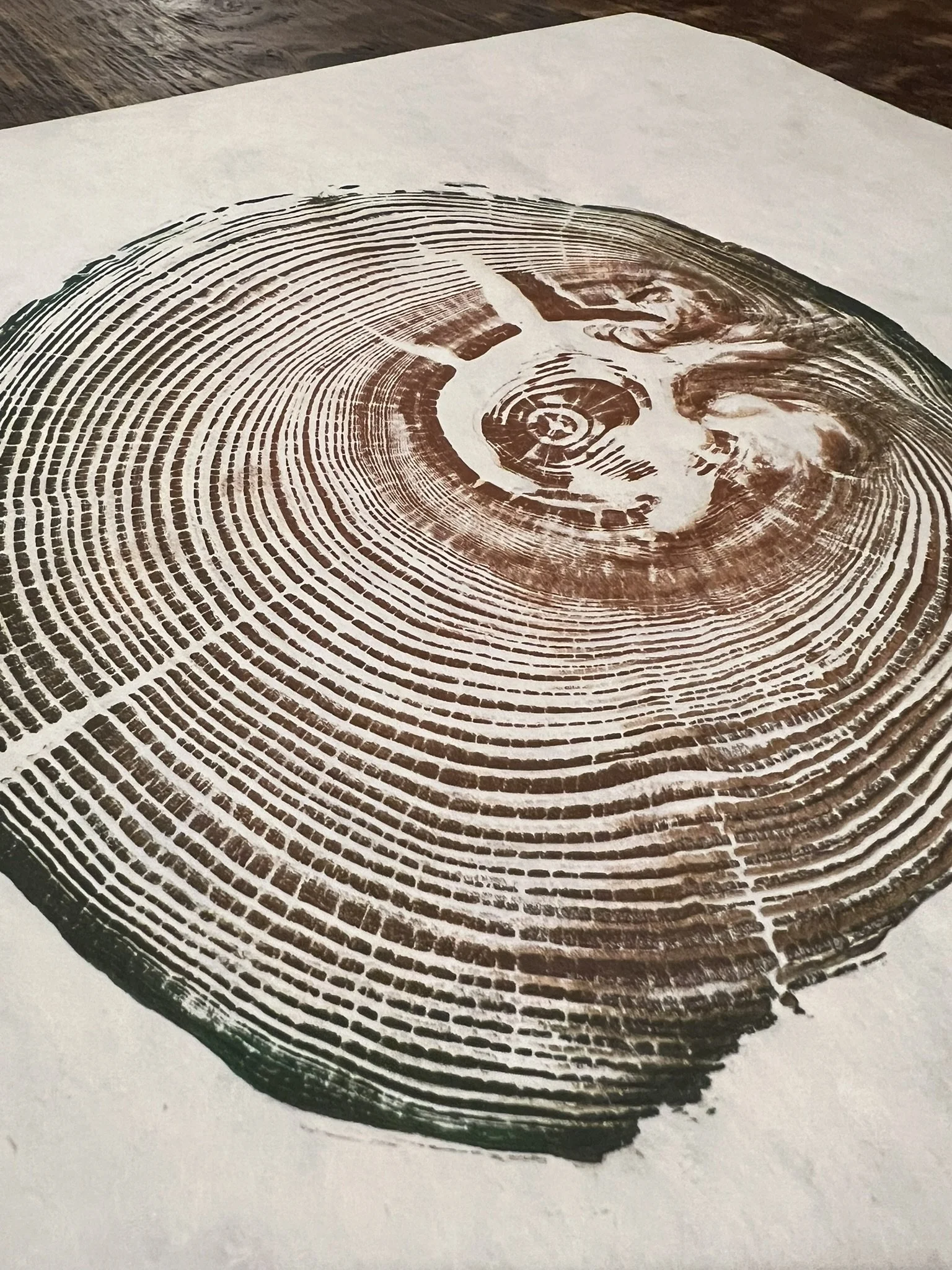 Siuslaw River Cedar #2 - Multiple Color/Paper Options