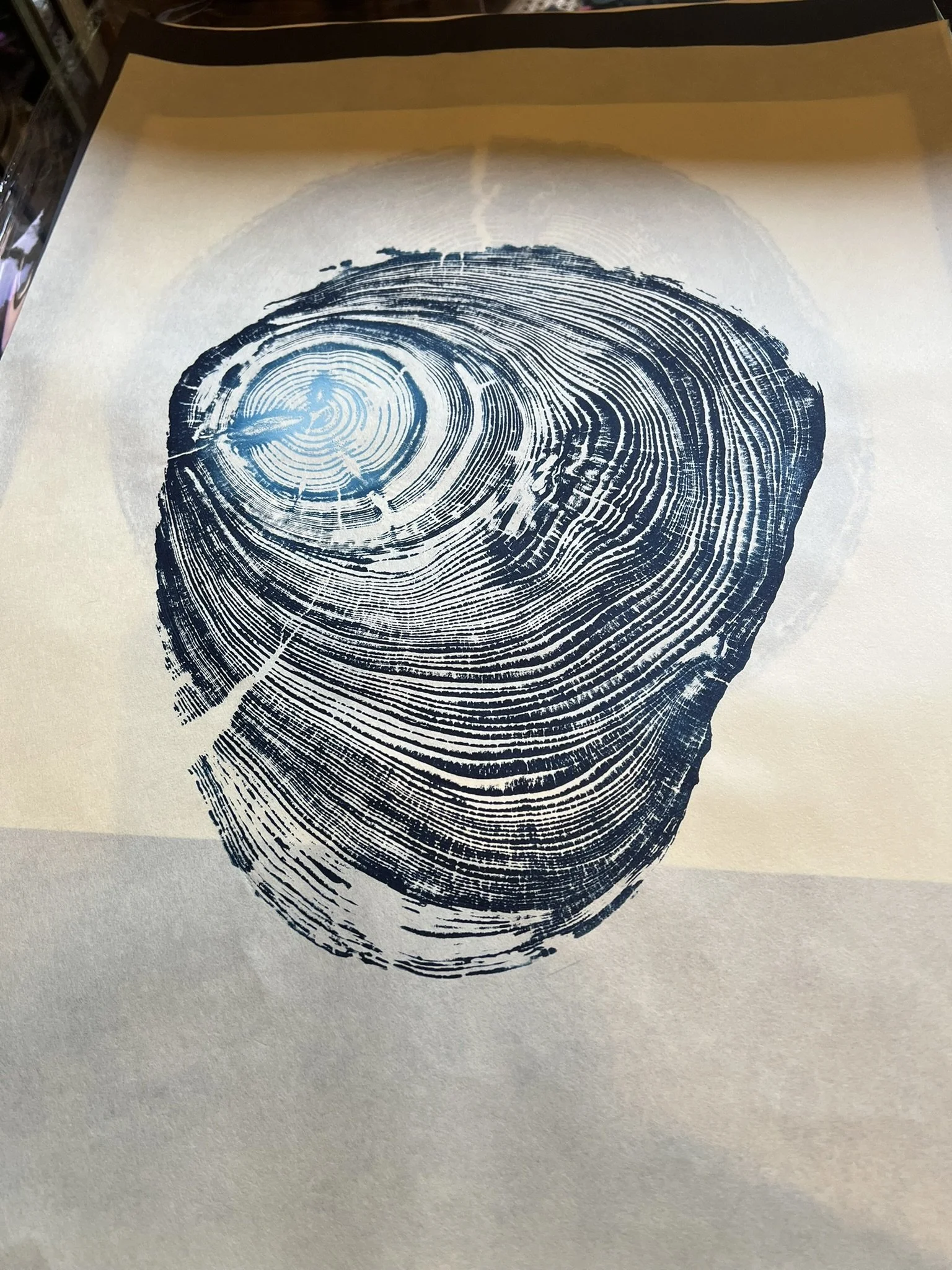 Siuslaw River Cedar #1 - "Blue Eye" 18"x24" - Reprint (2-3 weeks)