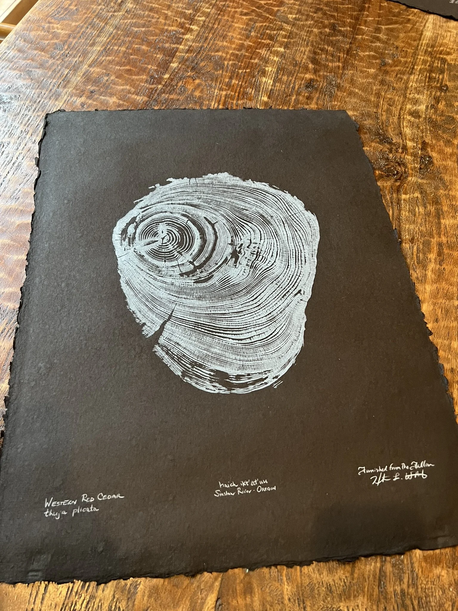 Siuslaw River Cedar #1 - Pale Blue on Black Paper 19"x25"  (2 Options)