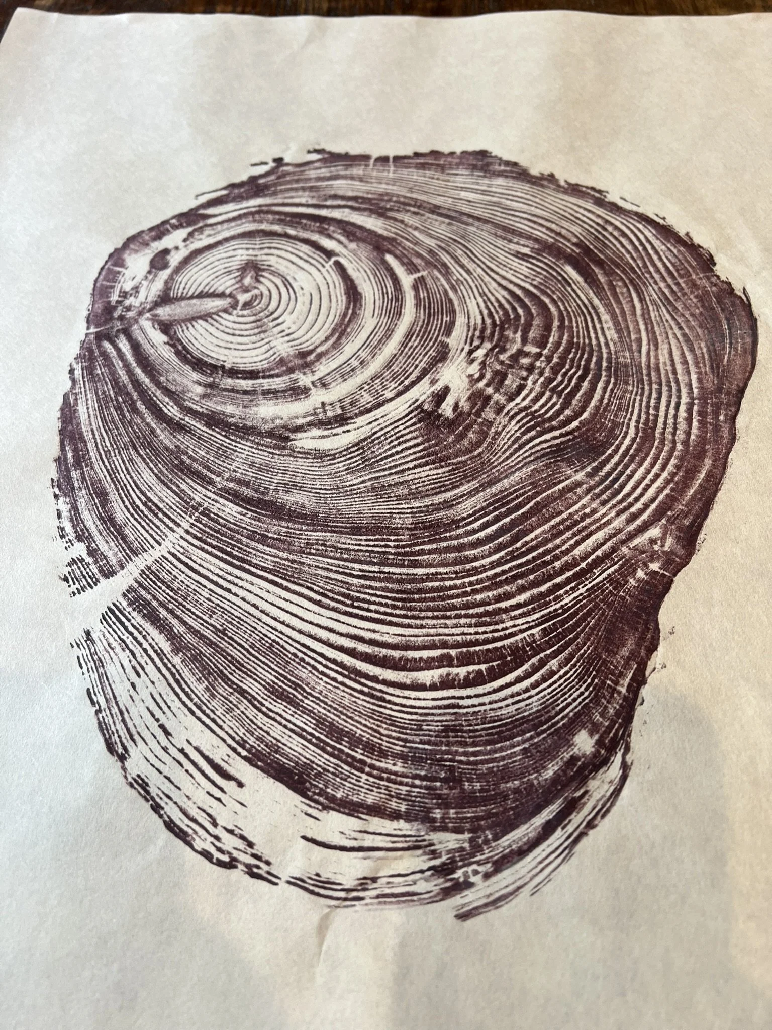 Siuslaw River Cedar #1 - Solid Color (Options)