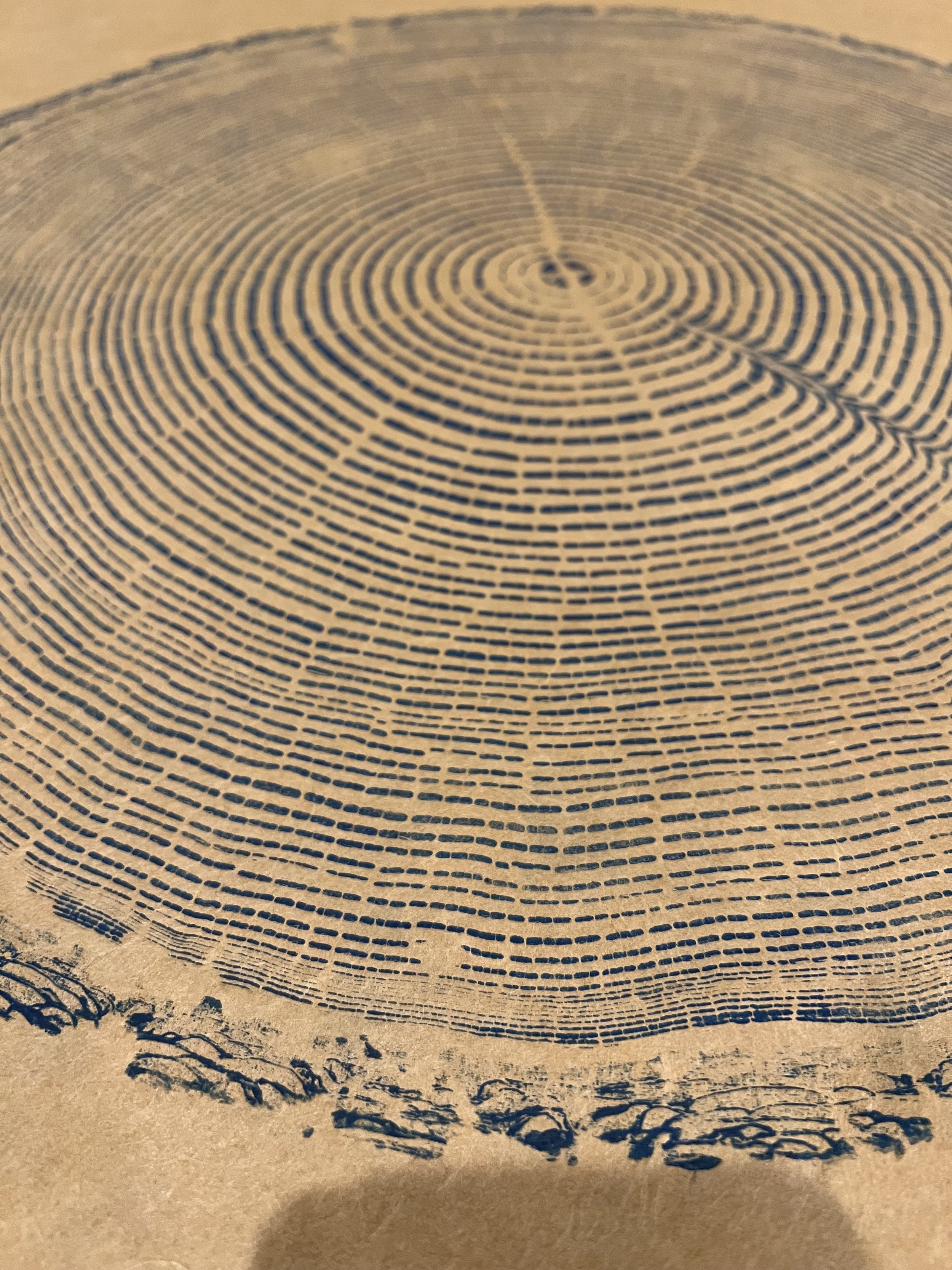 OR Coast Douglas Fir #2 - Big Beauty - 25"x37"