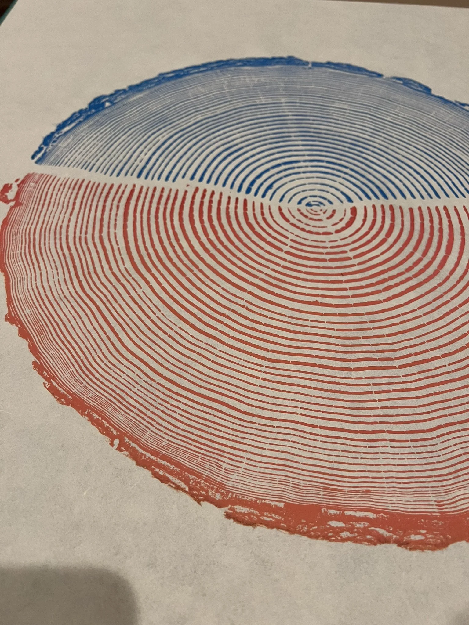 OR Coast Douglas Fir - Split Color (Multiple Options) 24"x30"