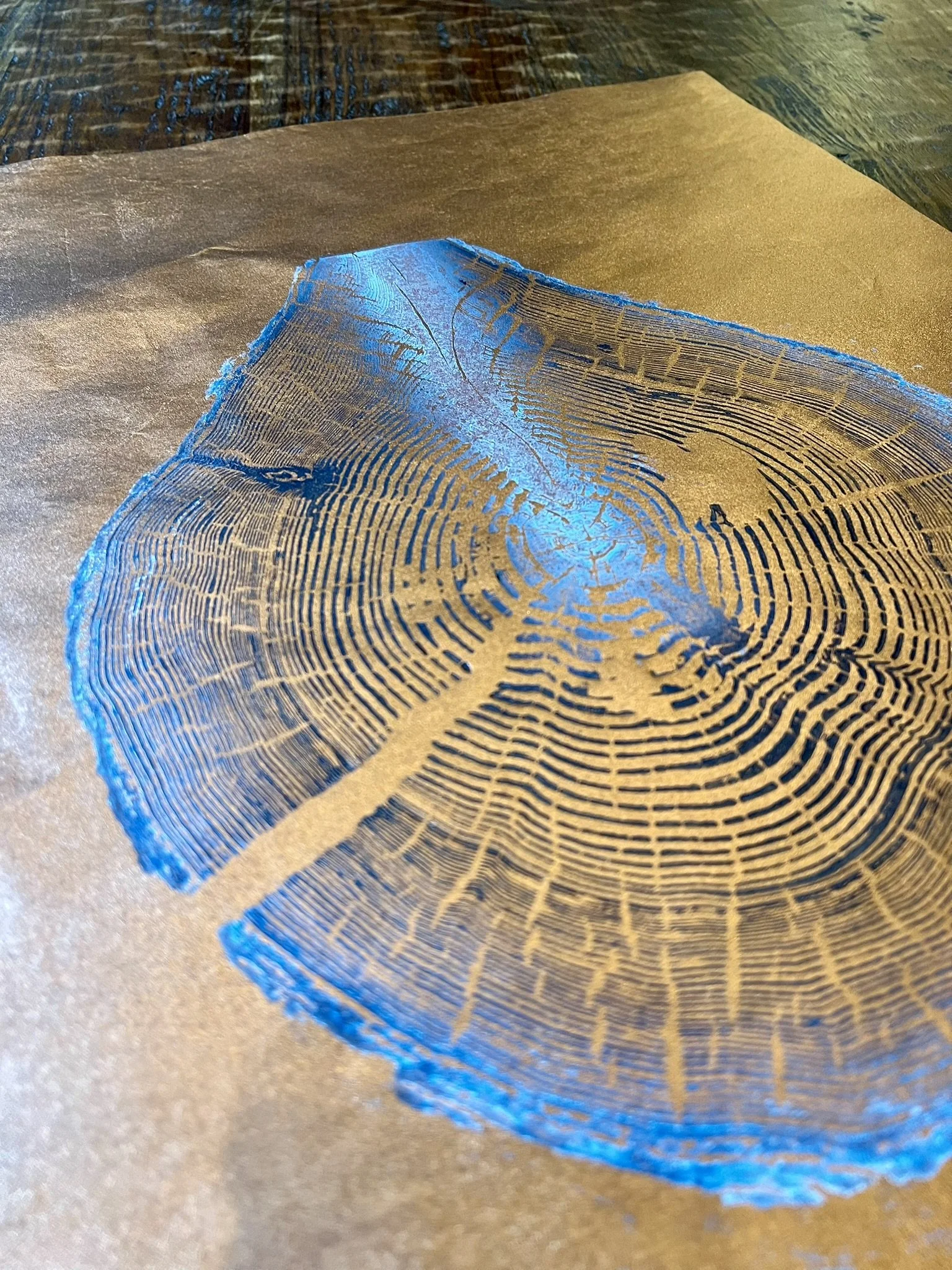 Close-up of a tree ring cross-section showing detailed growth rings on a piece of paper on a wooden surface.
