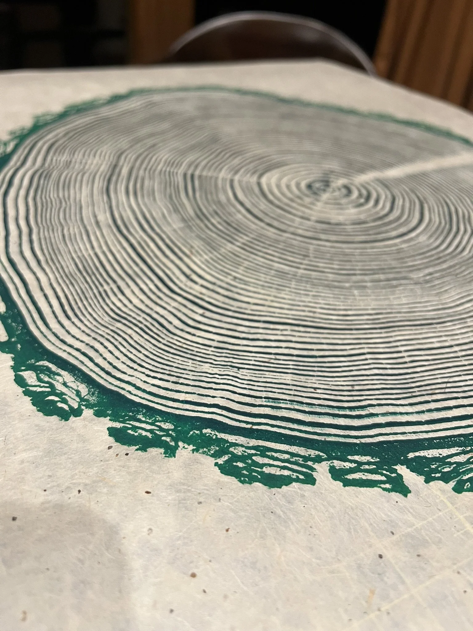 Close-up of a book with a design of tree growth rings printed on its cover.