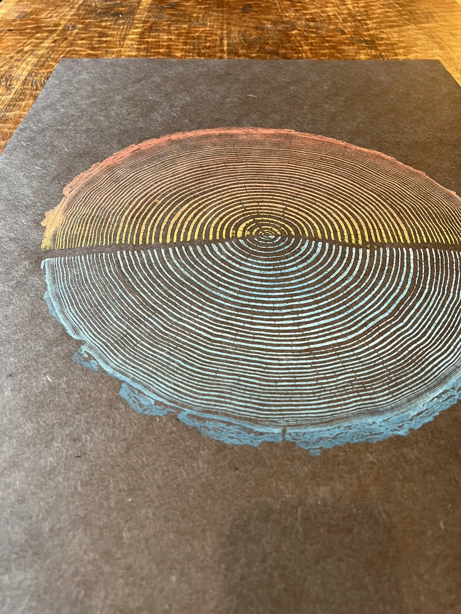 OR Coast Douglas Fir 