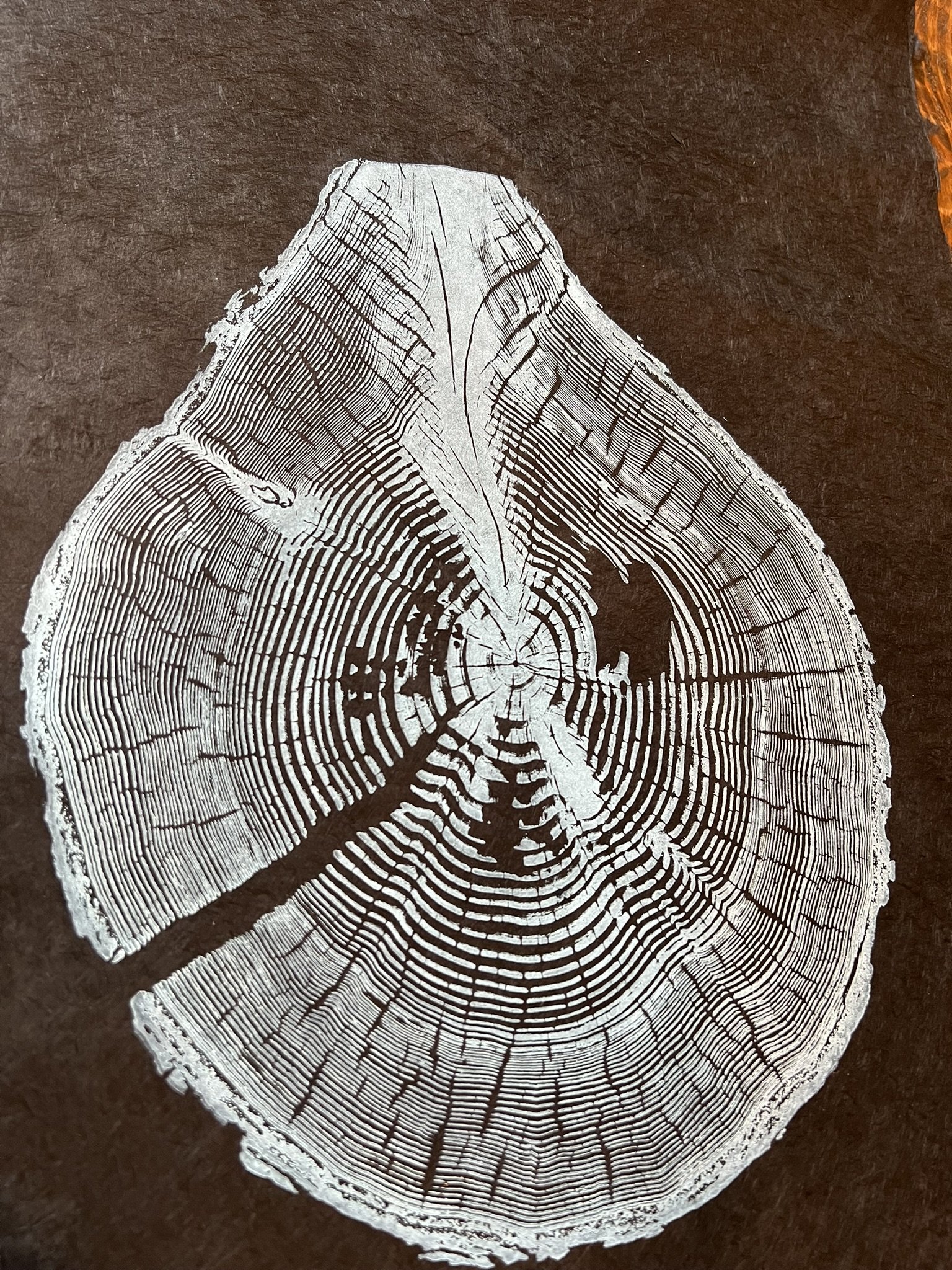 IMG_3740 - Copy.JPEG