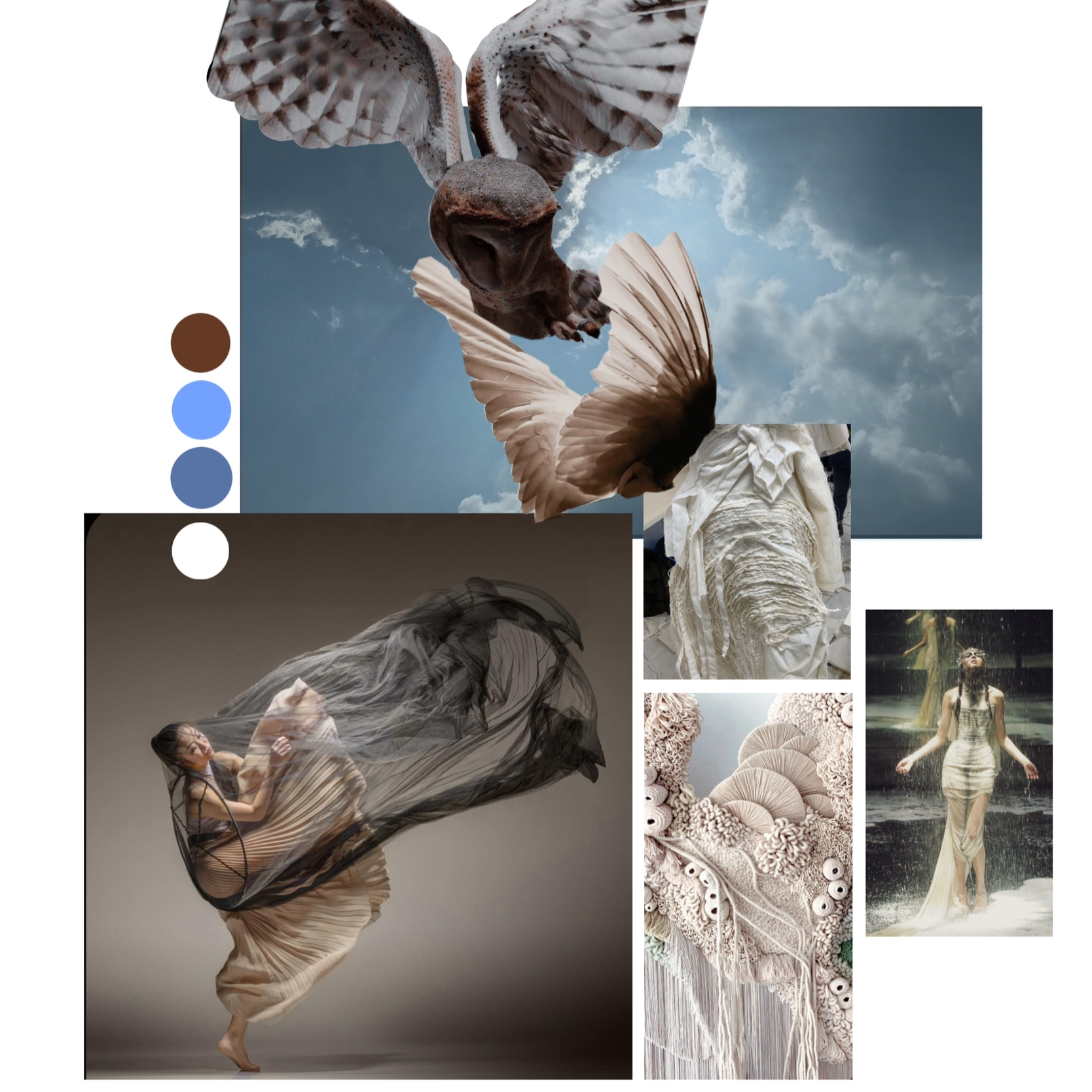 Ein Kunstfoto mit mehreren Texturen, wie Federn, Stoffen und biologischen Strukturen, kombiniert mit Bildern von Tänzern und einem Vogel in Flug.