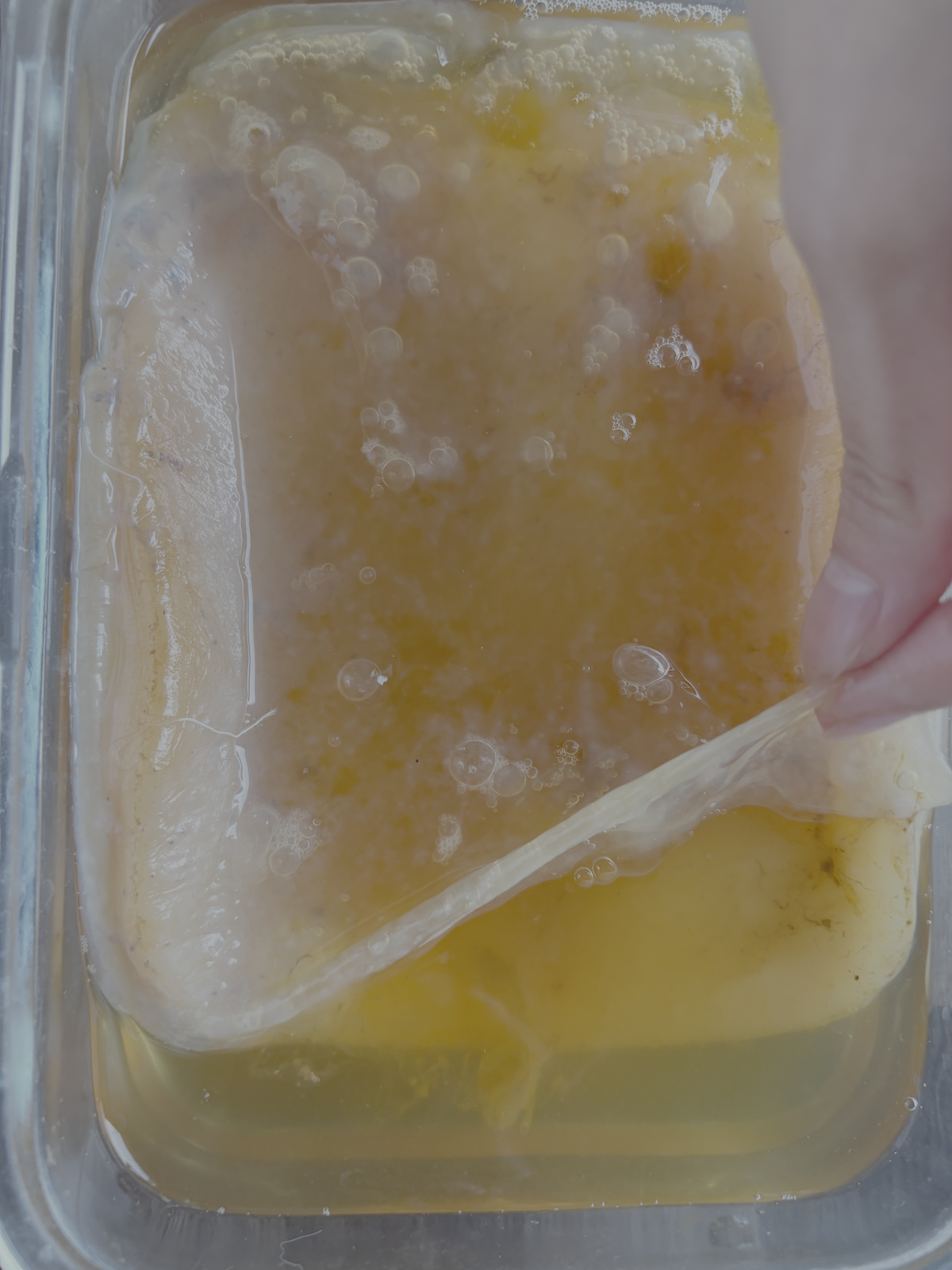 Janiejean-Scoby-Textile-Surfaces, Flüssigkeit mit Fruchtstücken, die in einem Behälter mit einem Hand, die den Inhalt hebt.