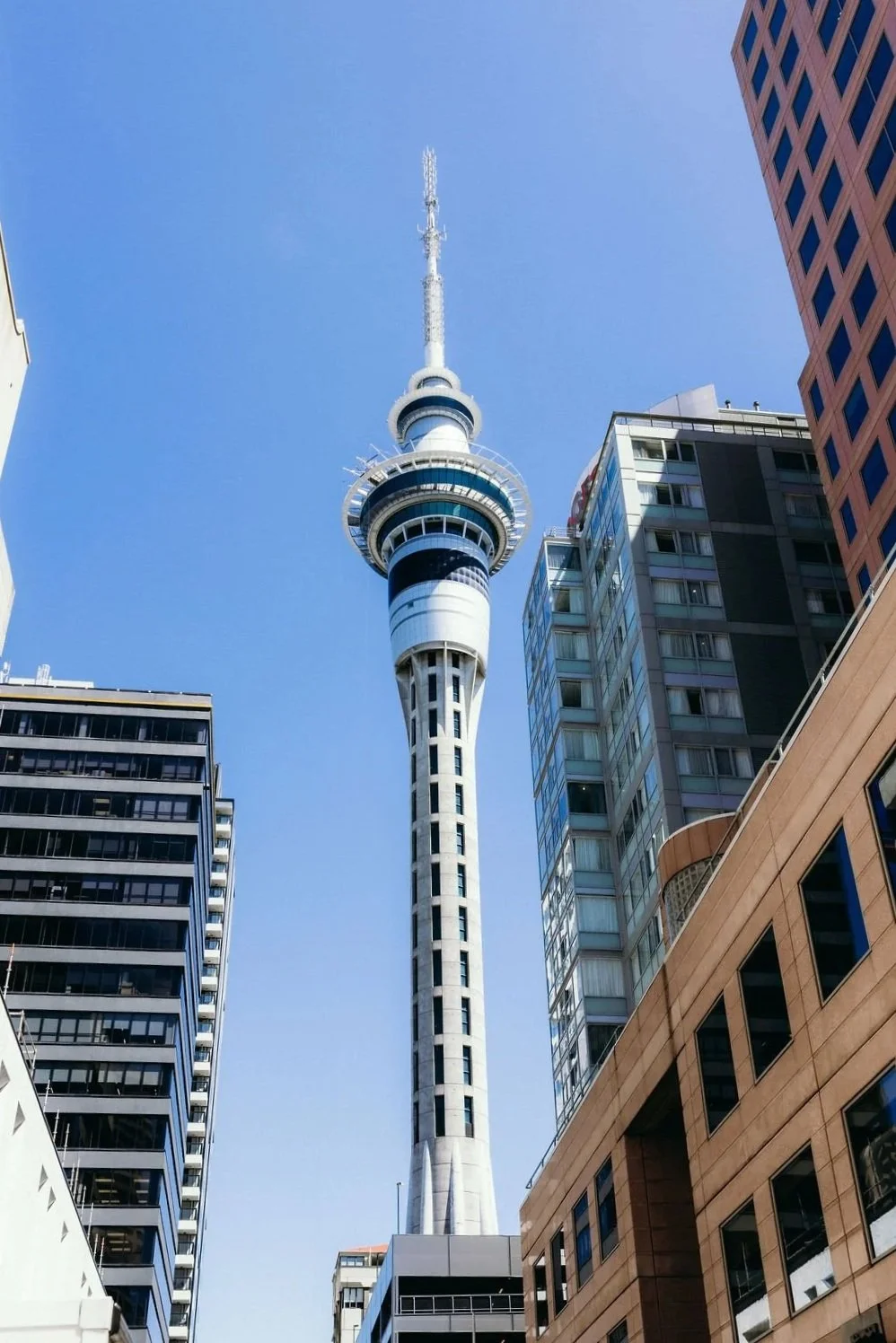 Auckland Sky Tower surrounded by modern buildings under a clear blue sky.