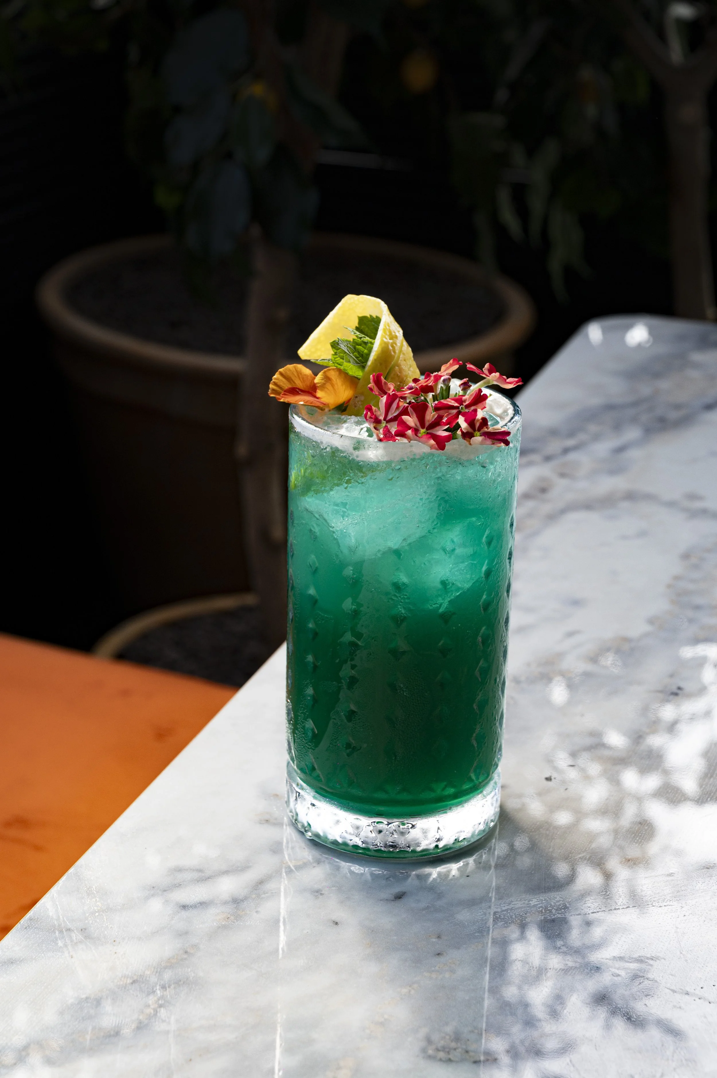 BERWICKLOUNGE-COCKTAILS_3.jpg