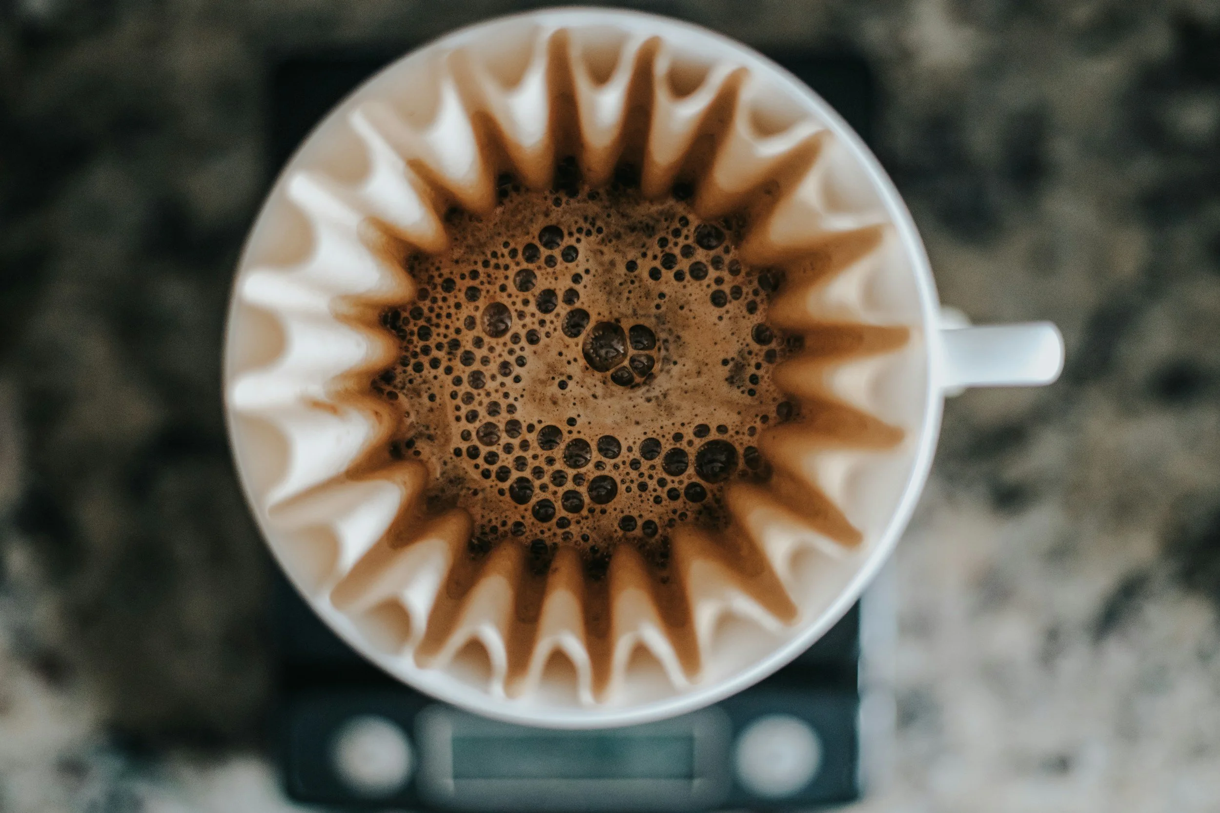 unsplash-image-rwwMB7kTNes.jpg