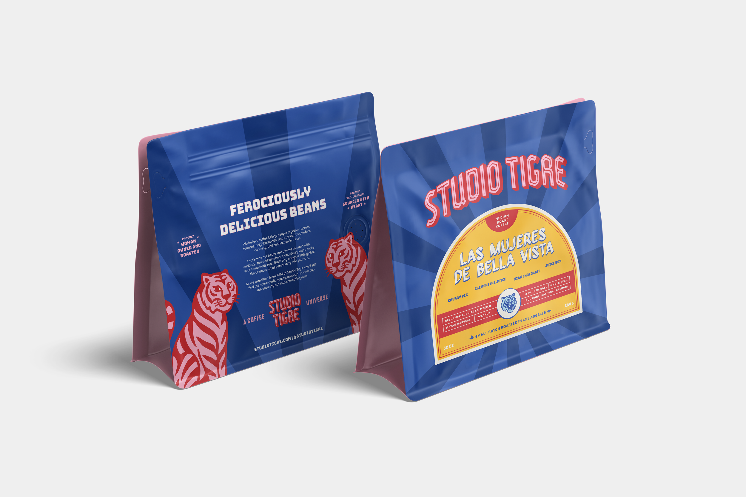 Rays.png (Copy) (Copy)