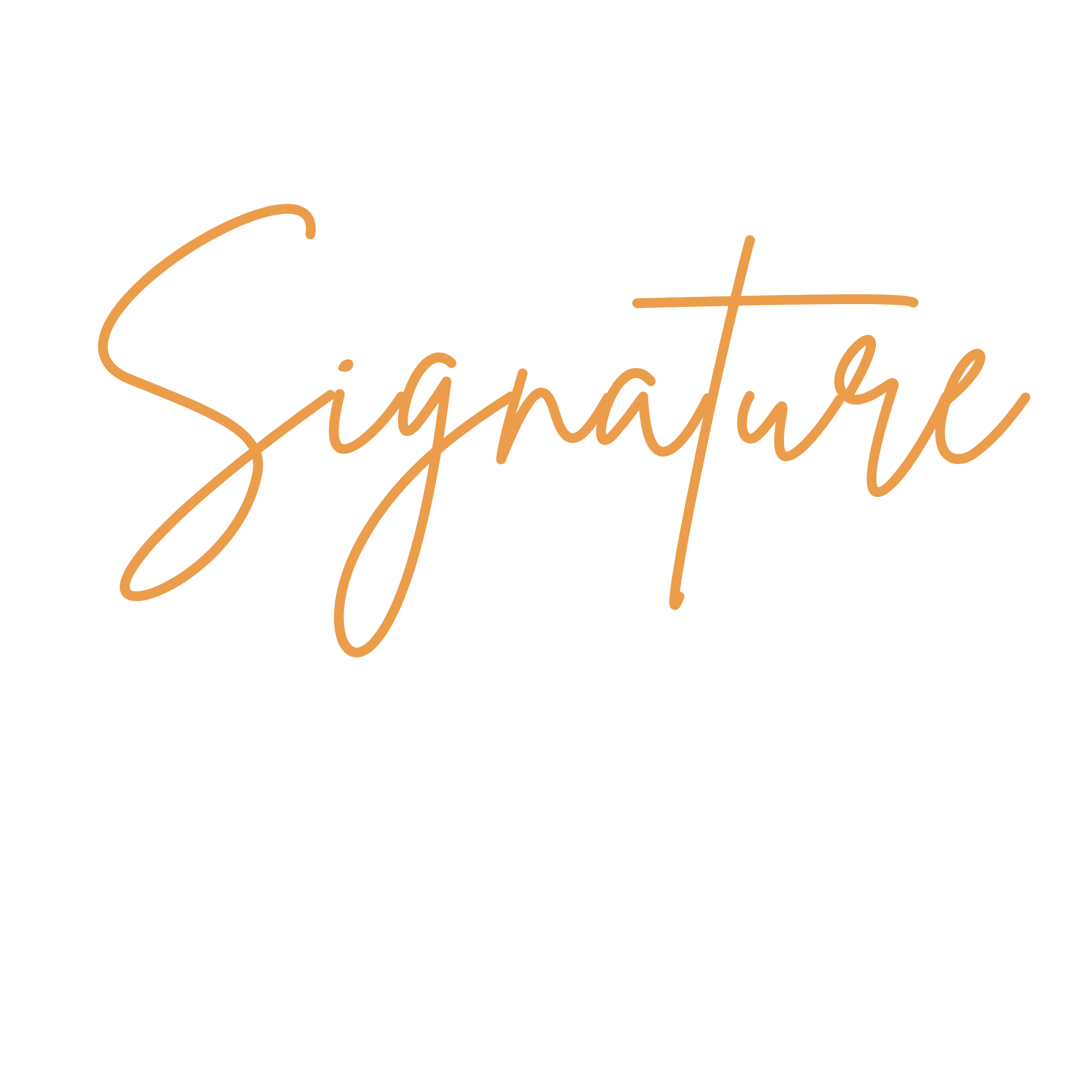 Signature Surveys Logo