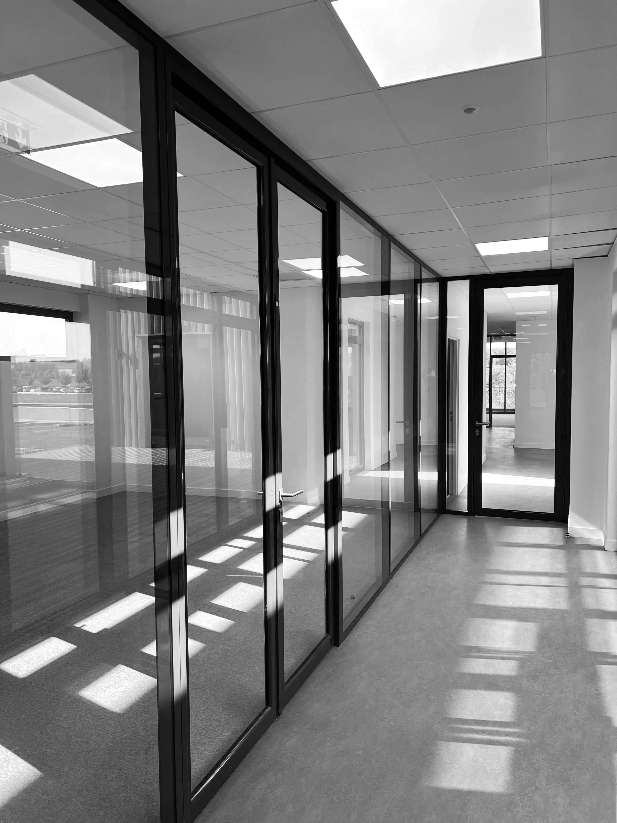 Couloir dans un bâtiment moderne avec murs en verre et sol vert, éclairé par la lumière naturelle, avec portes en verre et vues sur l'extérieur.