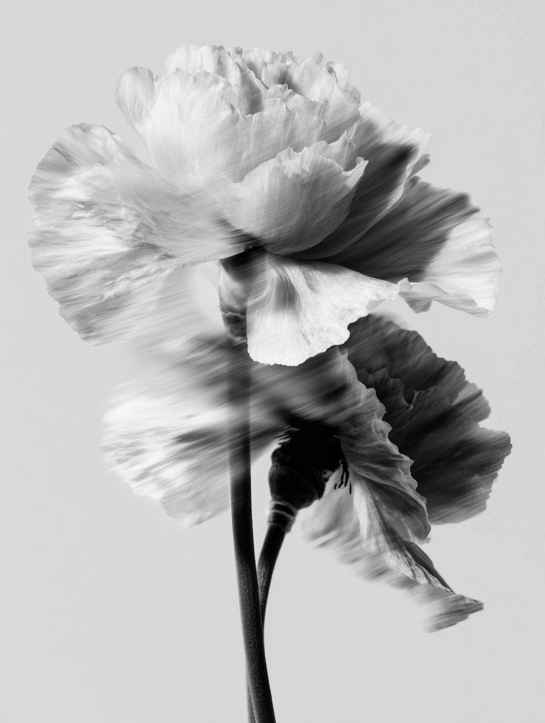 3. Beauty.png