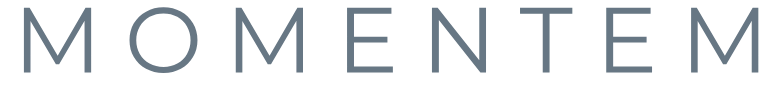 The word 'MOMENTEM' written in large, uppercase gray letters on a white background.