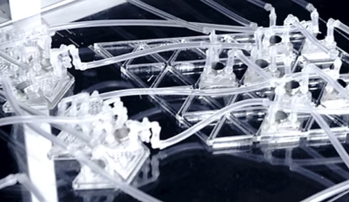 Fluidic Computation Kit: Towards Electronic-free Shape-changing Interfaces