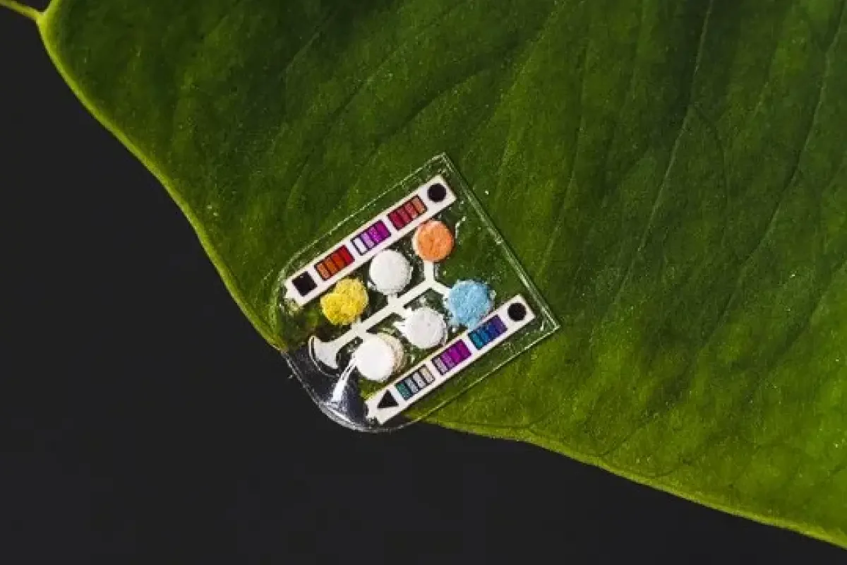 Guttation Sensor: Wearable Guttation Sensor for Plant Condition Monitoring and Diagnosis
